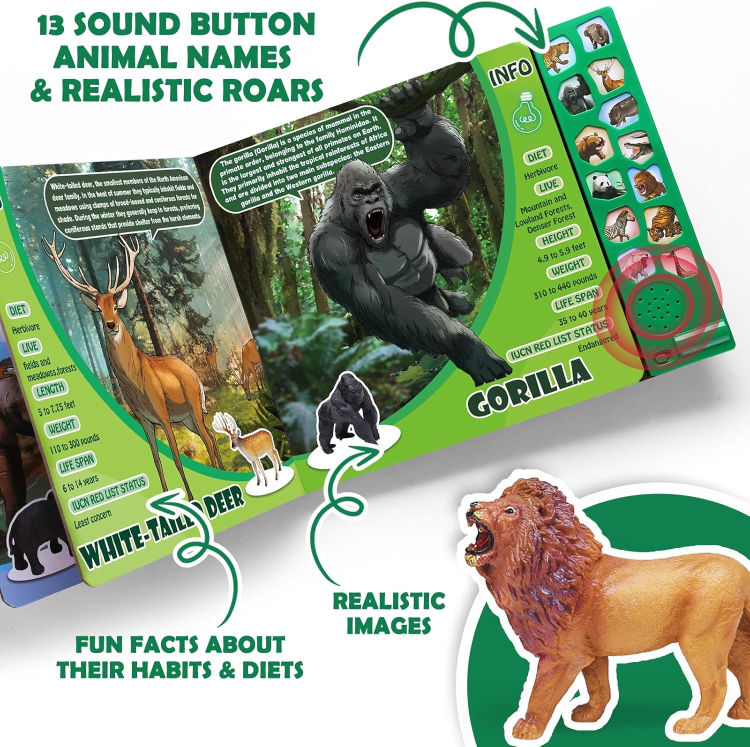 12 Pcs Ocean & 13Wild Animal Toys Set with Sound Books, Realistic Sea Life and Safari Anima, Figurines for Toddlers, Educational Plastic Playset with Storage Box, Birthday Party Favors, Water Table To