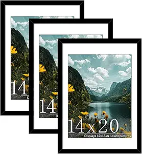 Picrit 14x20 Picture Frame 3 Pack, Black Poster Frame, Display Poster 12 x 16 with Mat or 14 x 20 without Mat for Horizontal or Vertical Wall Mounting