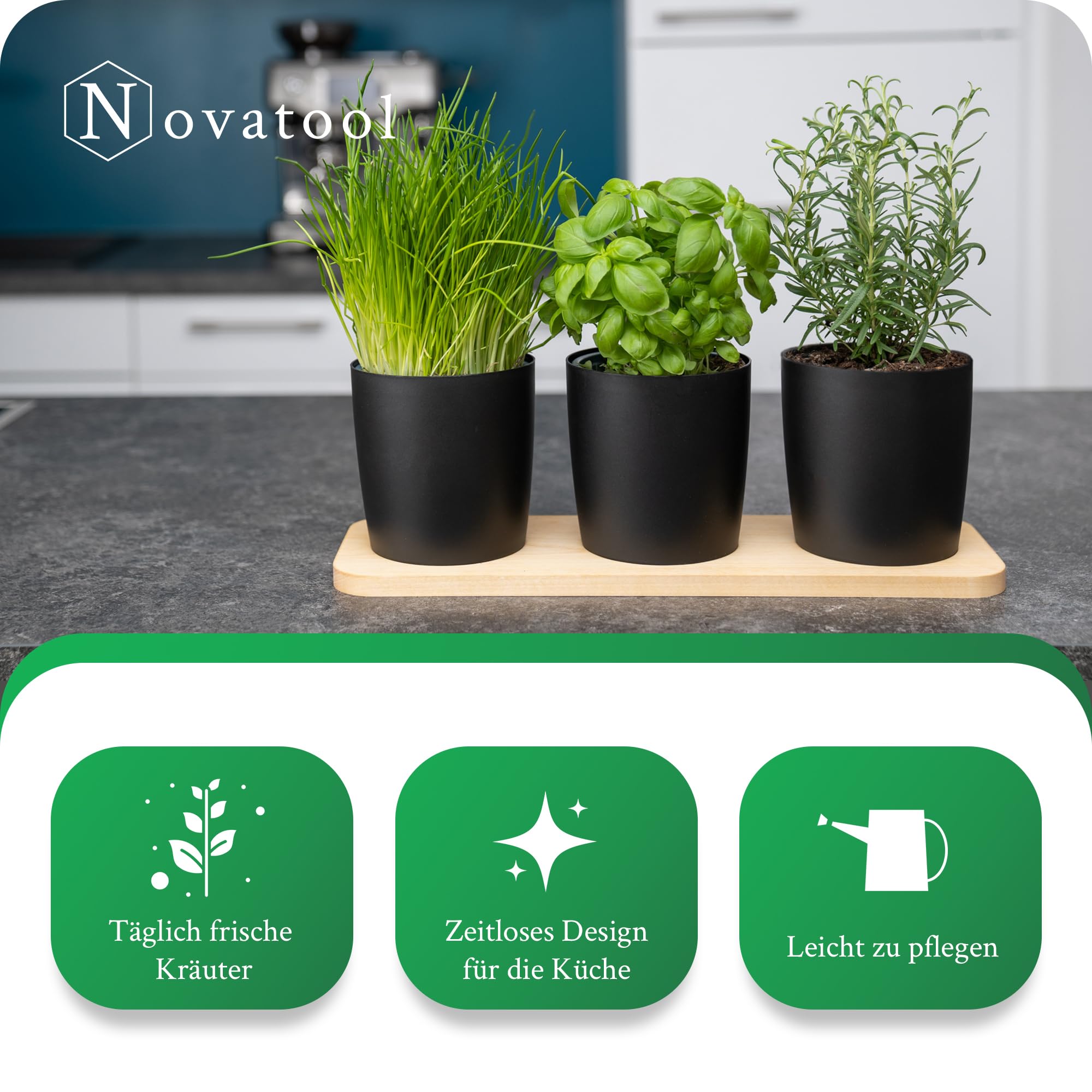 Novaliv Elegante stazione per erbe aromatiche, set da 6 pezzi, con base in legno, per qualsiasi davanzale, per erbe aromatiche fresche, per la cucina, per piante aromatiche, per interni, fioriera,