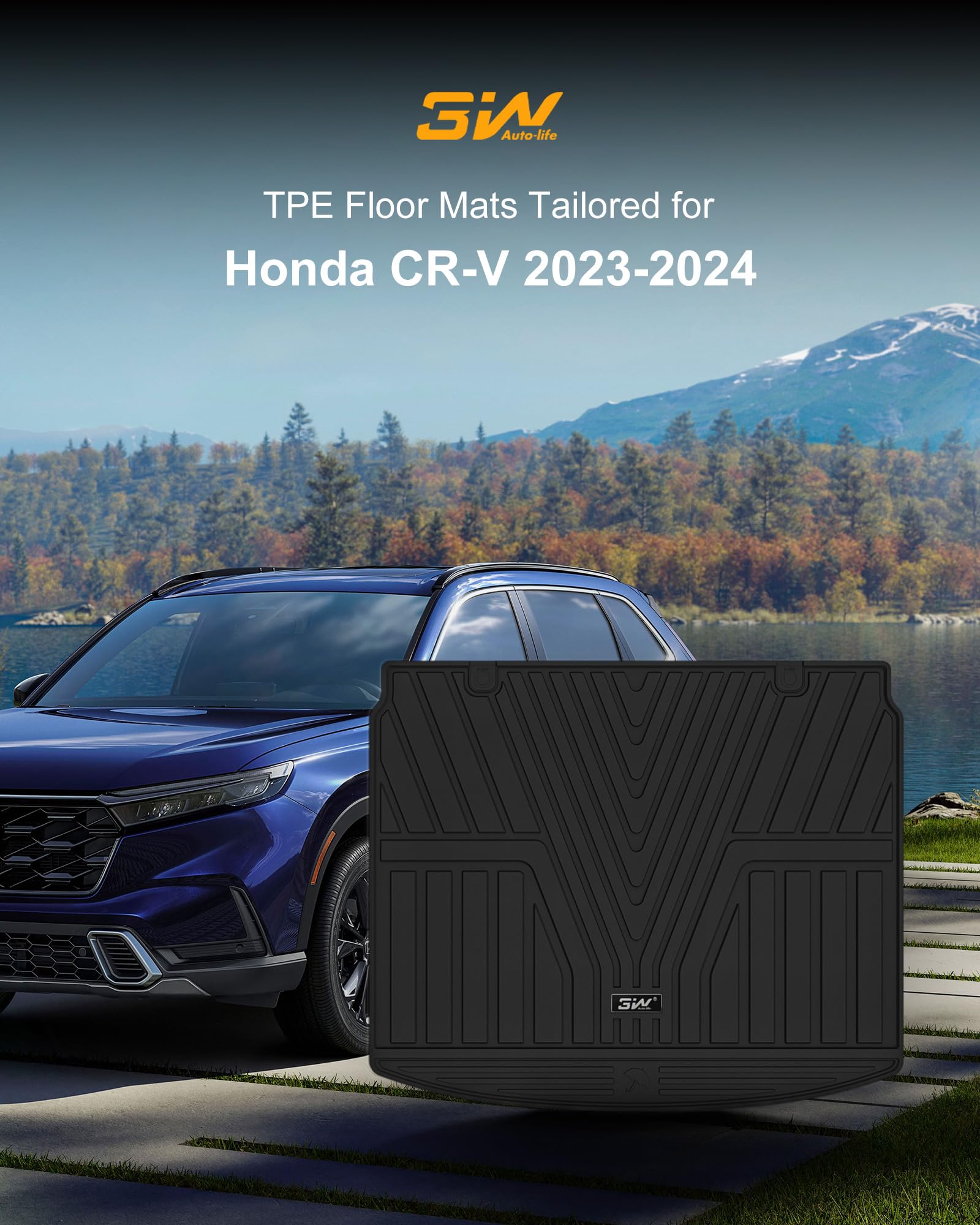https://m.media-amazon.com/images/I/81+c82aS7CL.jpg