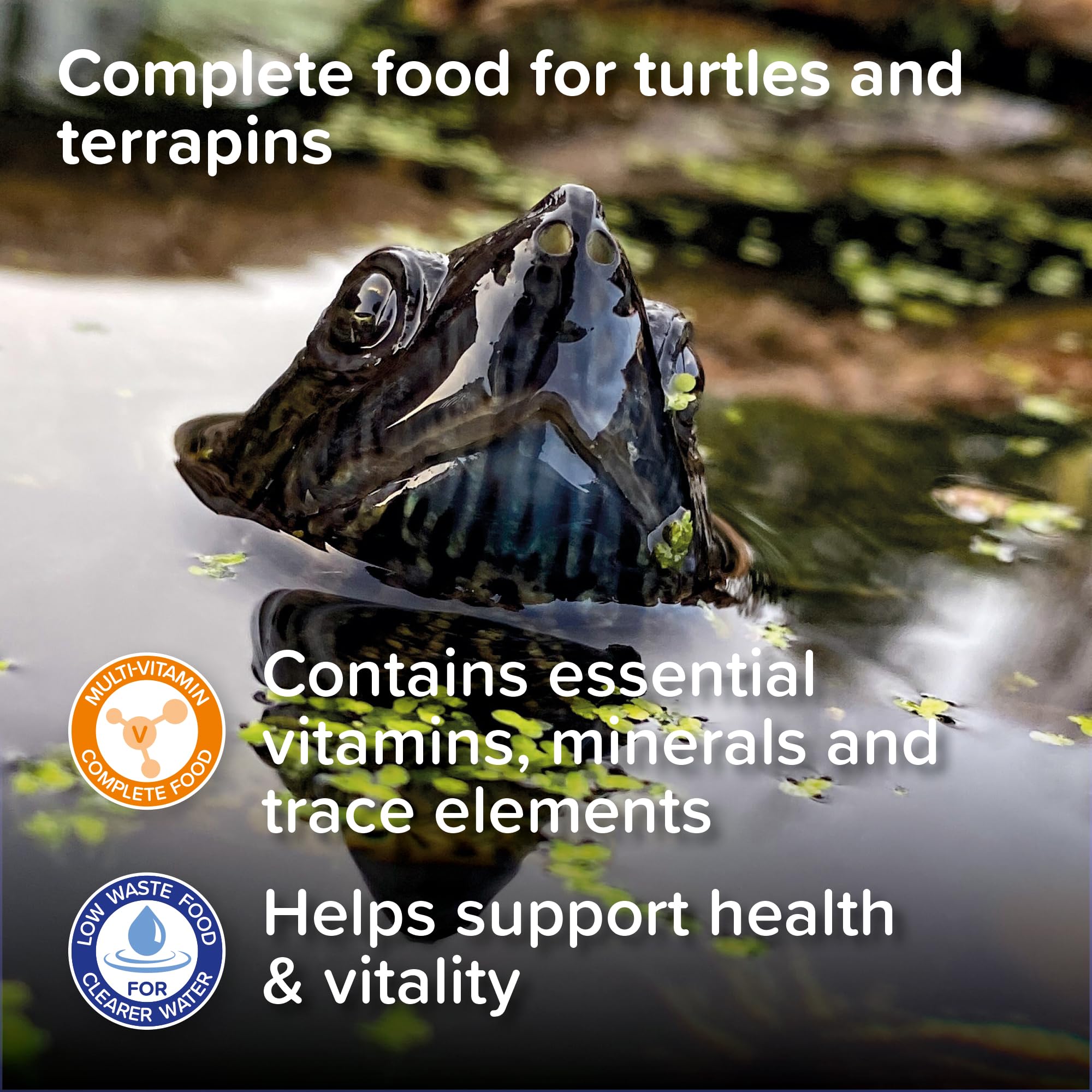 King British – Turtle & Terrapin Complete Food – 200g Tub – Rich in Vitamins & Minerals Natural Ingredients – Contains a Variety of Shrimp, Gammarus & Krill — view 12