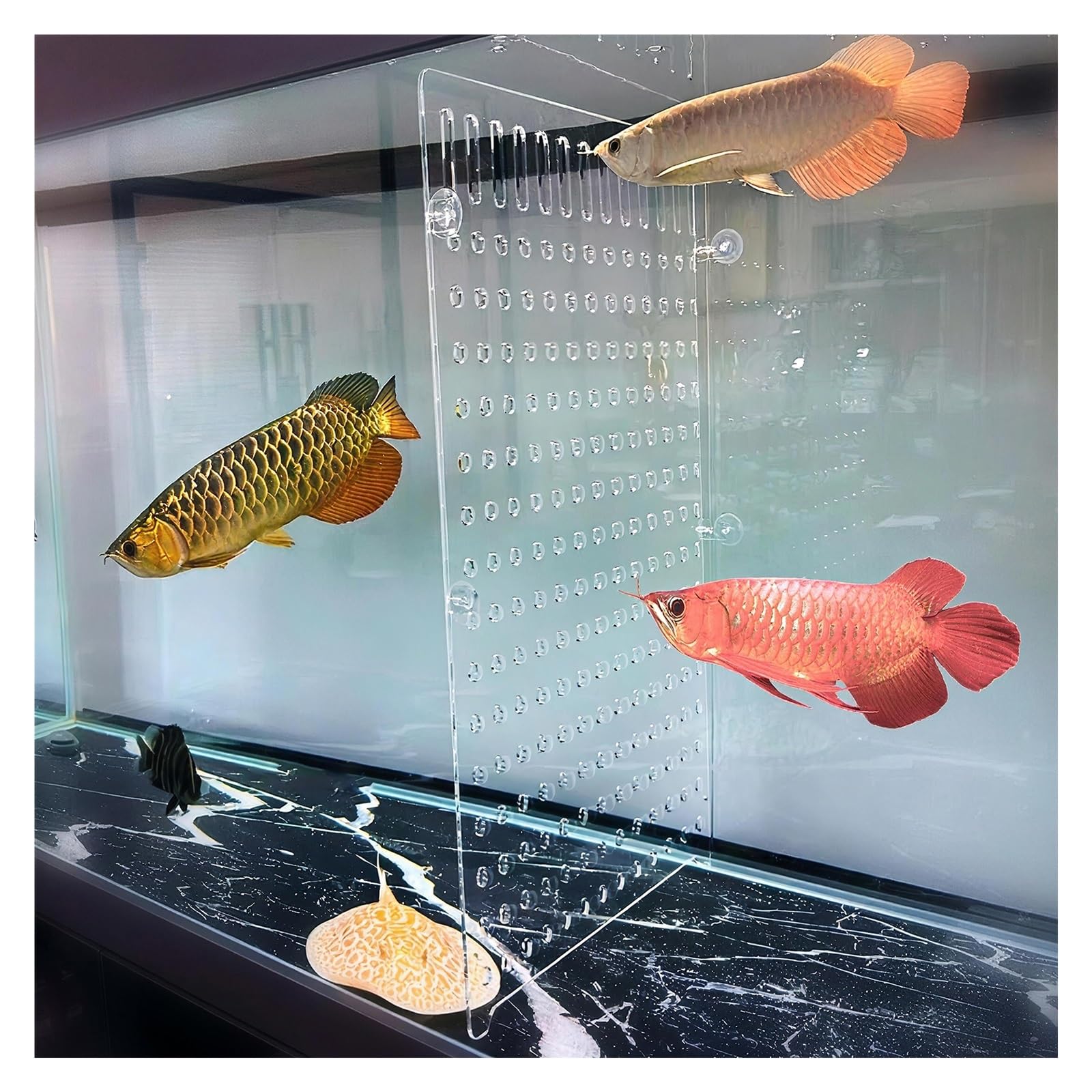 Divisor de acuario para tanque de 10 galones, separador de aislamiento acrílico transparente para la cría de peces y organización del tanque