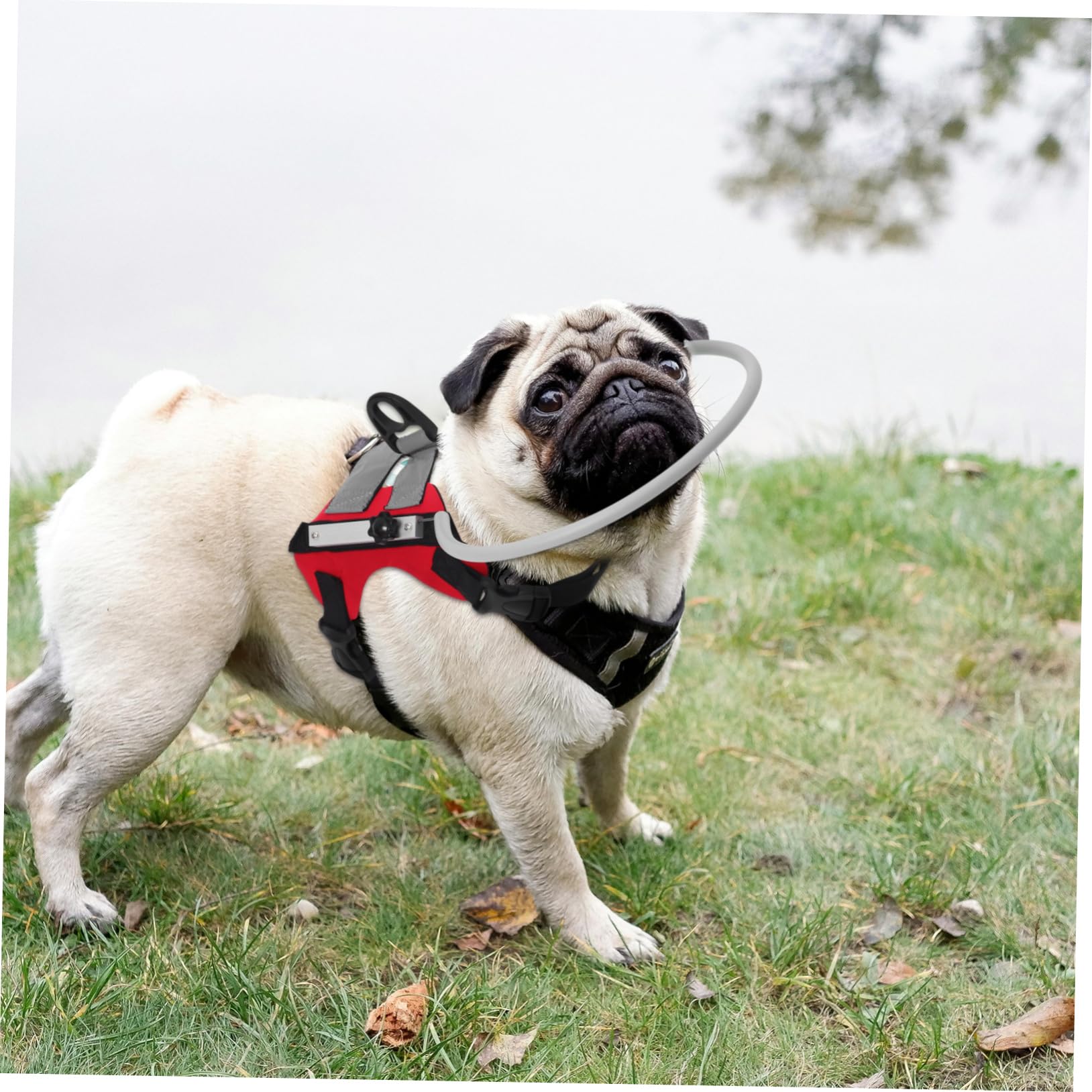 Abaodam Collier de Navigation pour Chien Aveugle Rouge Réglable | Protection les Obstacles, Design Confortable et Facile à Utiliser, pour Chien Malvoyant