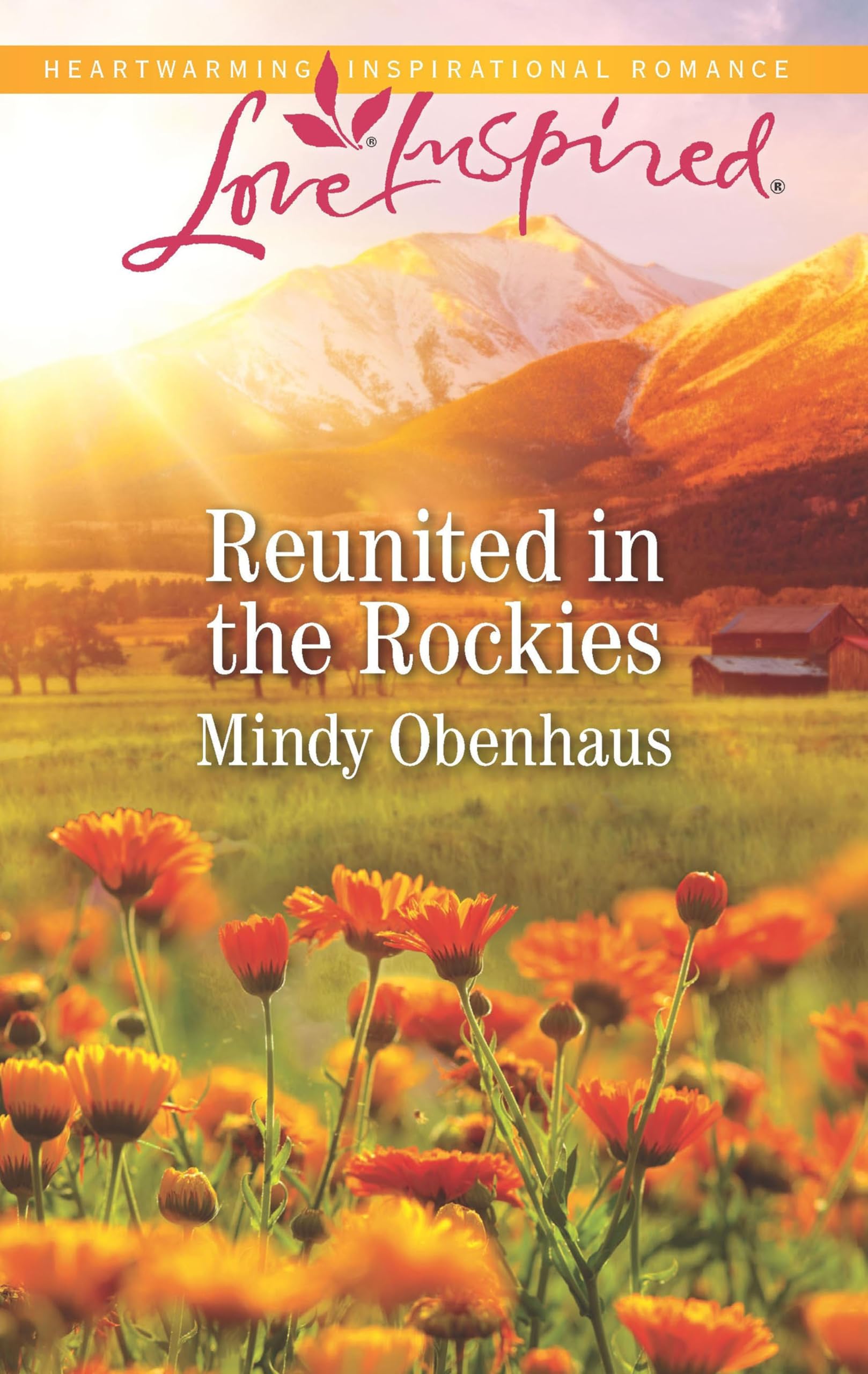 Reunited in the Rockies (Rocky Mountain Heroes Book 4)