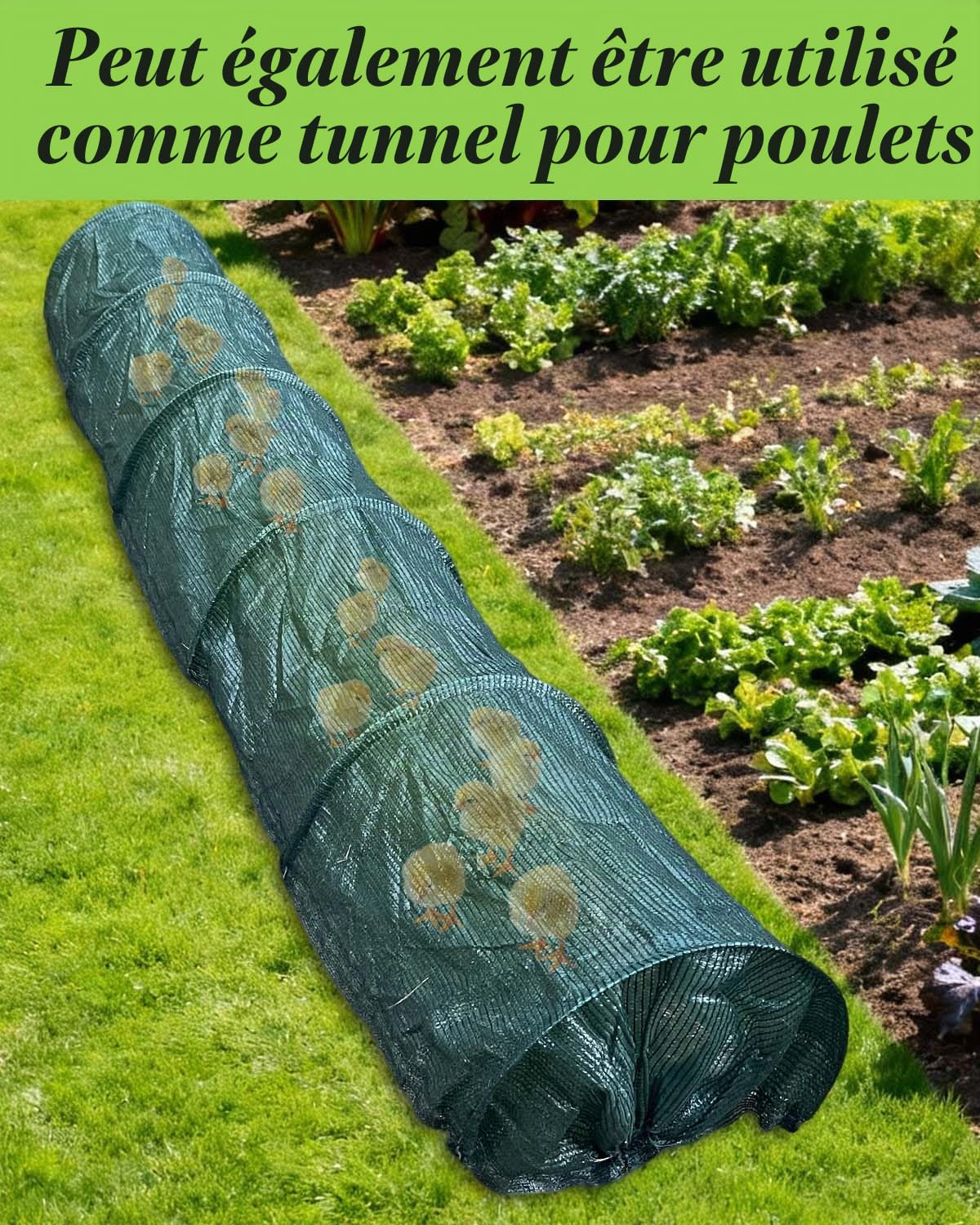 Filet de serre pour plantes, tunnel de croissance de jardin, filet de cloche pour parcelle de plantes, tunnel bas de culture pour plantes, maille de protection pour légumes