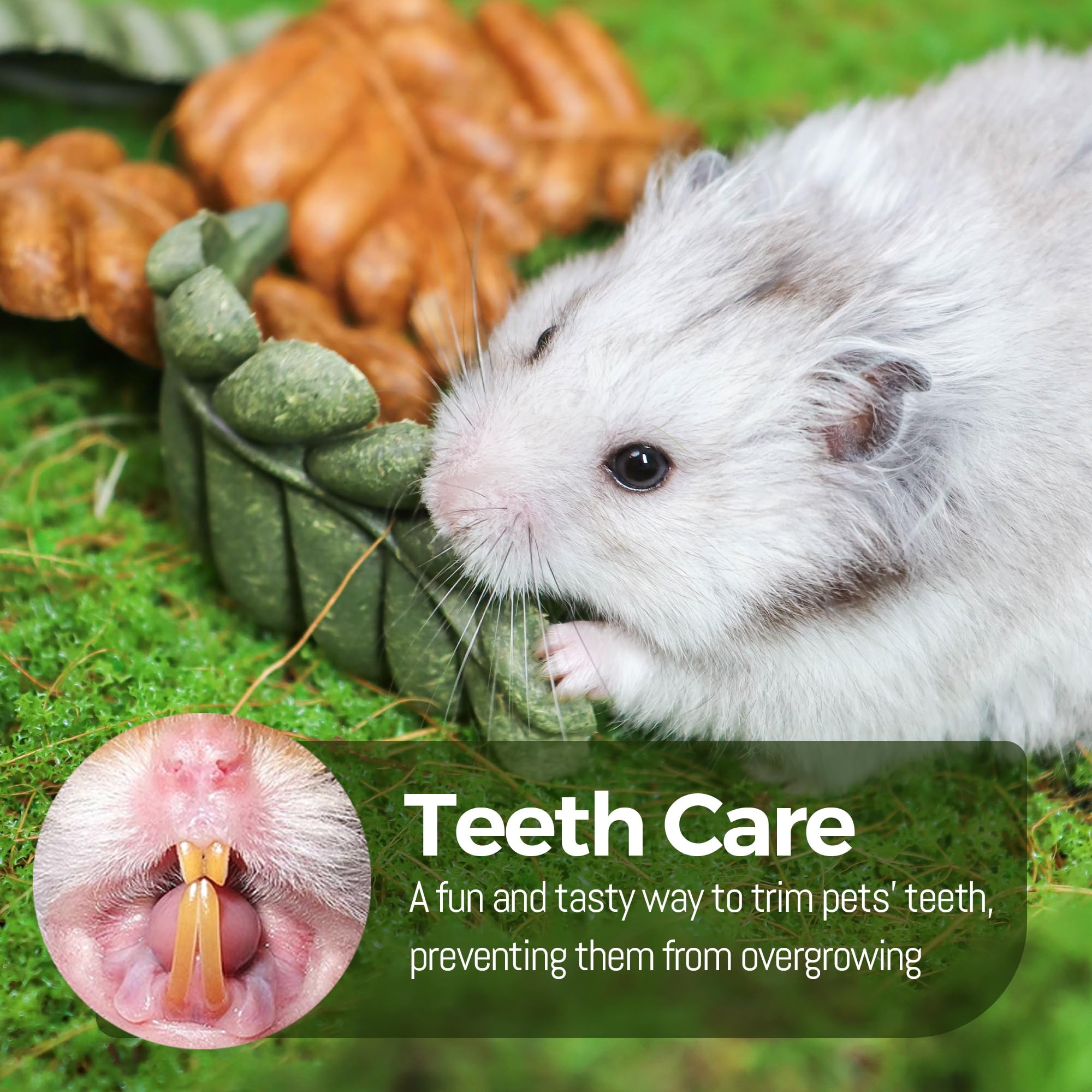 TEEWY Lot de 6 jouets à mâcher en forme de feuille pour hamster, cochon d'Inde naturel pour grincer les dents, chinchilla à mâcher pour gerbille, rat et hamster