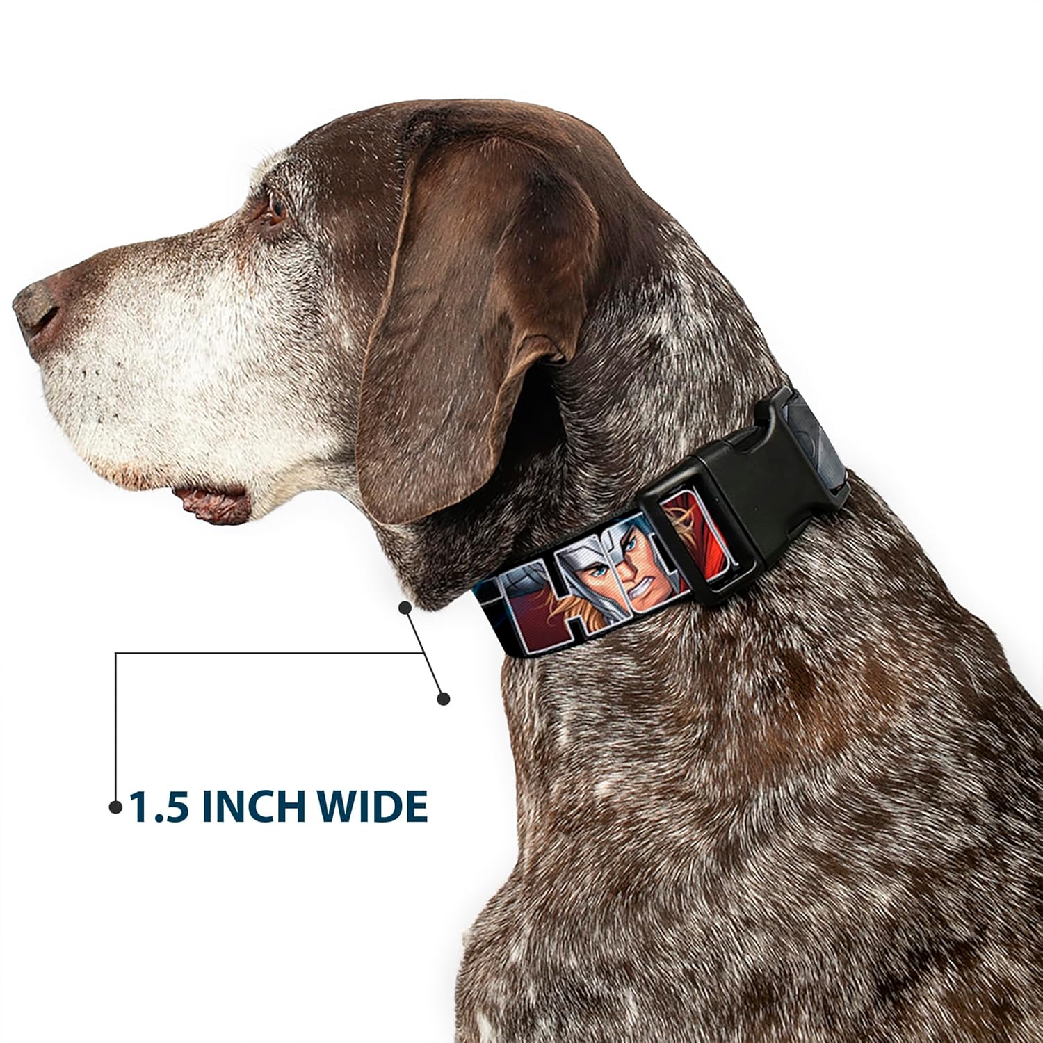 Buckle-Down Plastic Clip Collar - THOR Poses/Hammer - 1/2" Wide - Fits 6-9" Neck - Small
