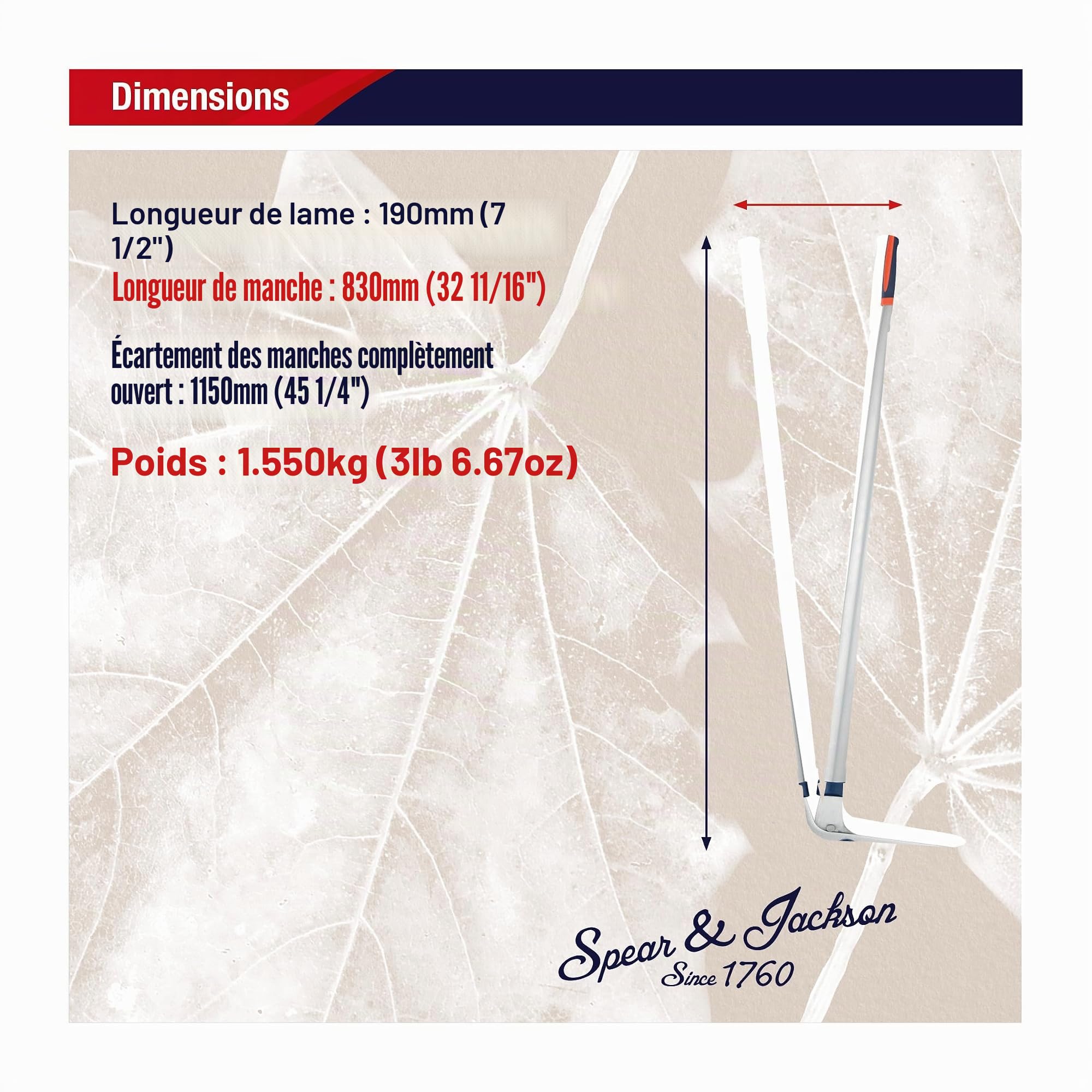 Spear & Jackson 4900RSS Cisaille de bordure en acier Razorsharp