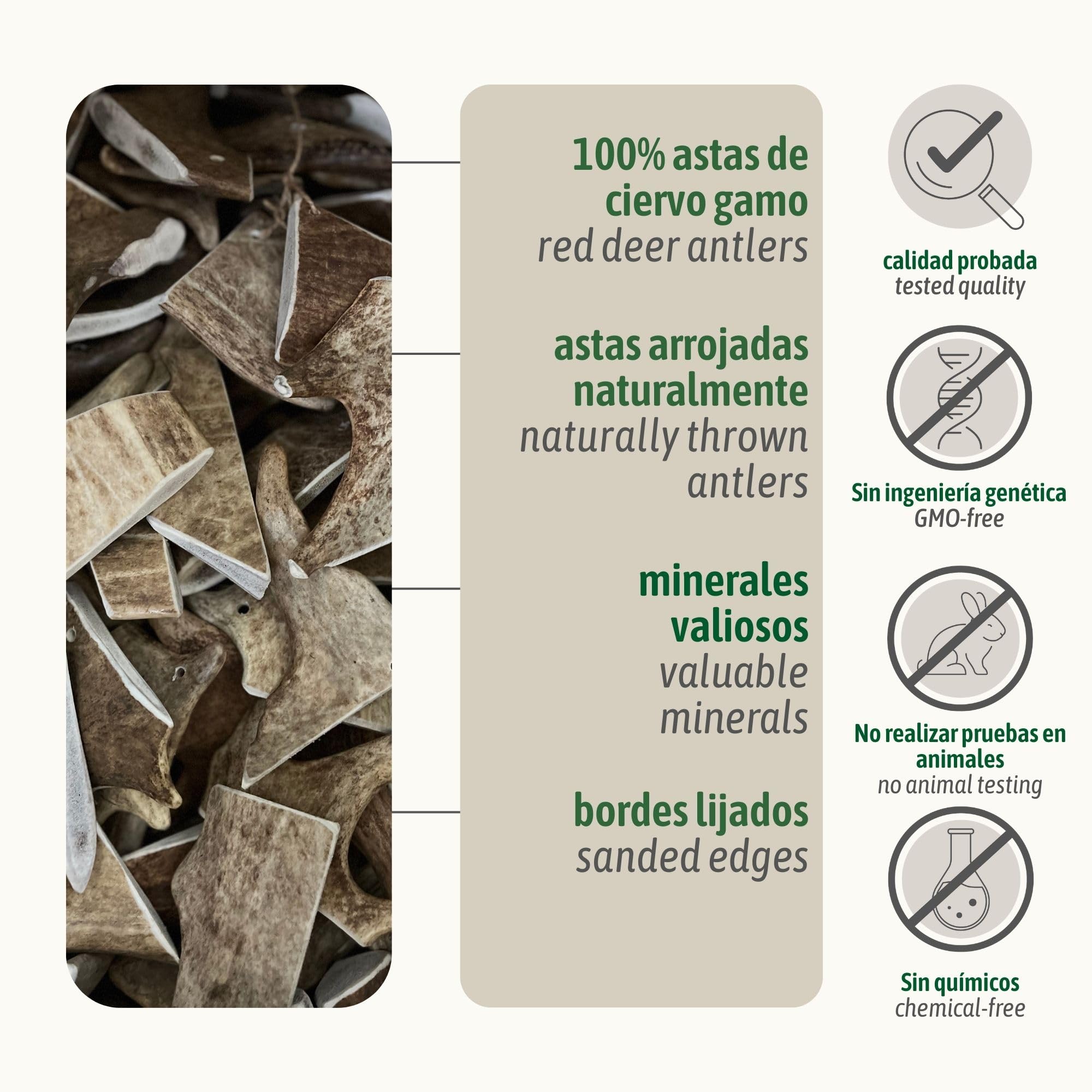 ChronoBalance, XXL Gamo asta de Ciervo para Perros, 100% Natural Snack para el Cuidado Dental, Juguete y Hueso para Perros con minerales y nutrientes, Conjunto de 2