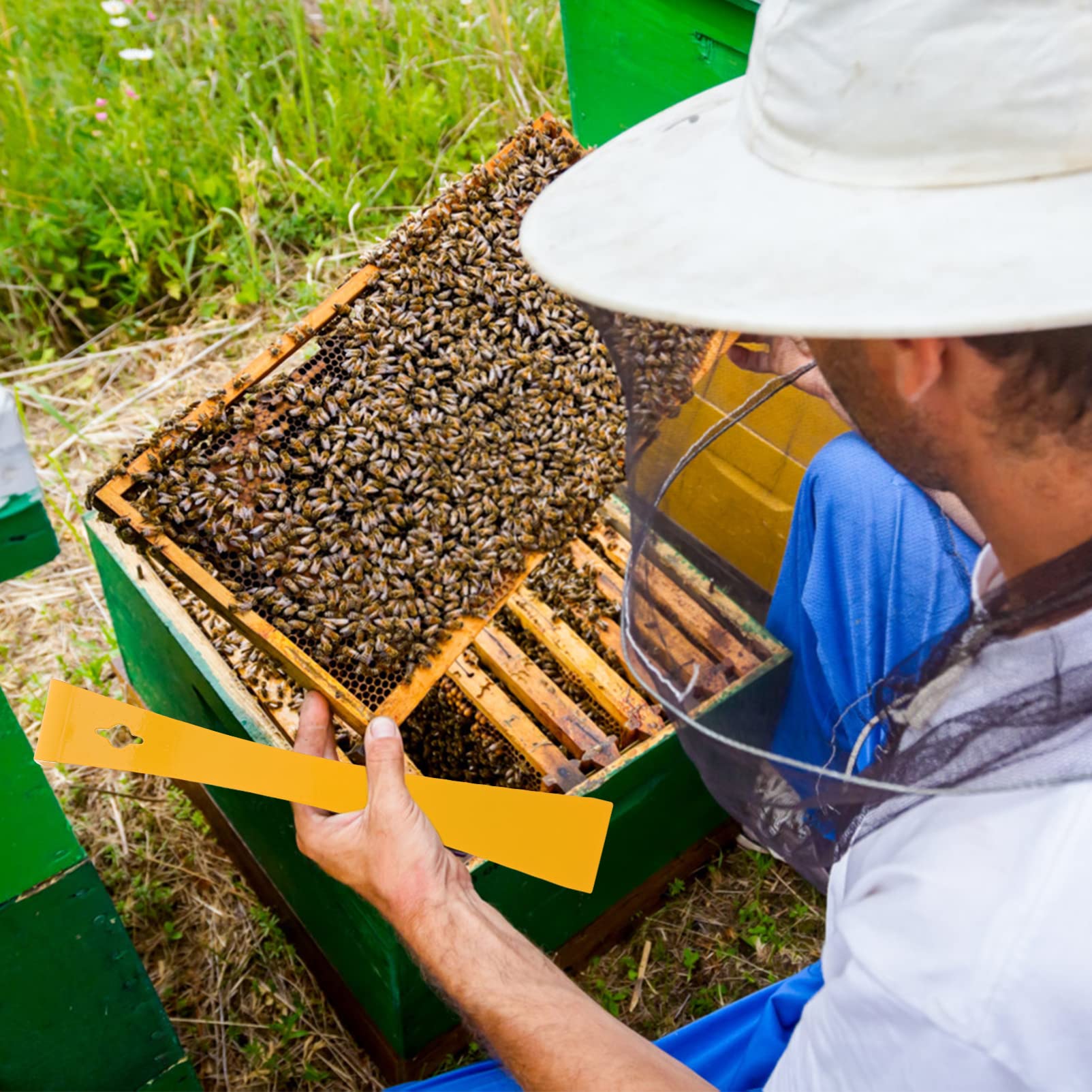 Lyrlody Grattoir De Ruche En Acier Inoxydable, Grattoir Apicole Outil D