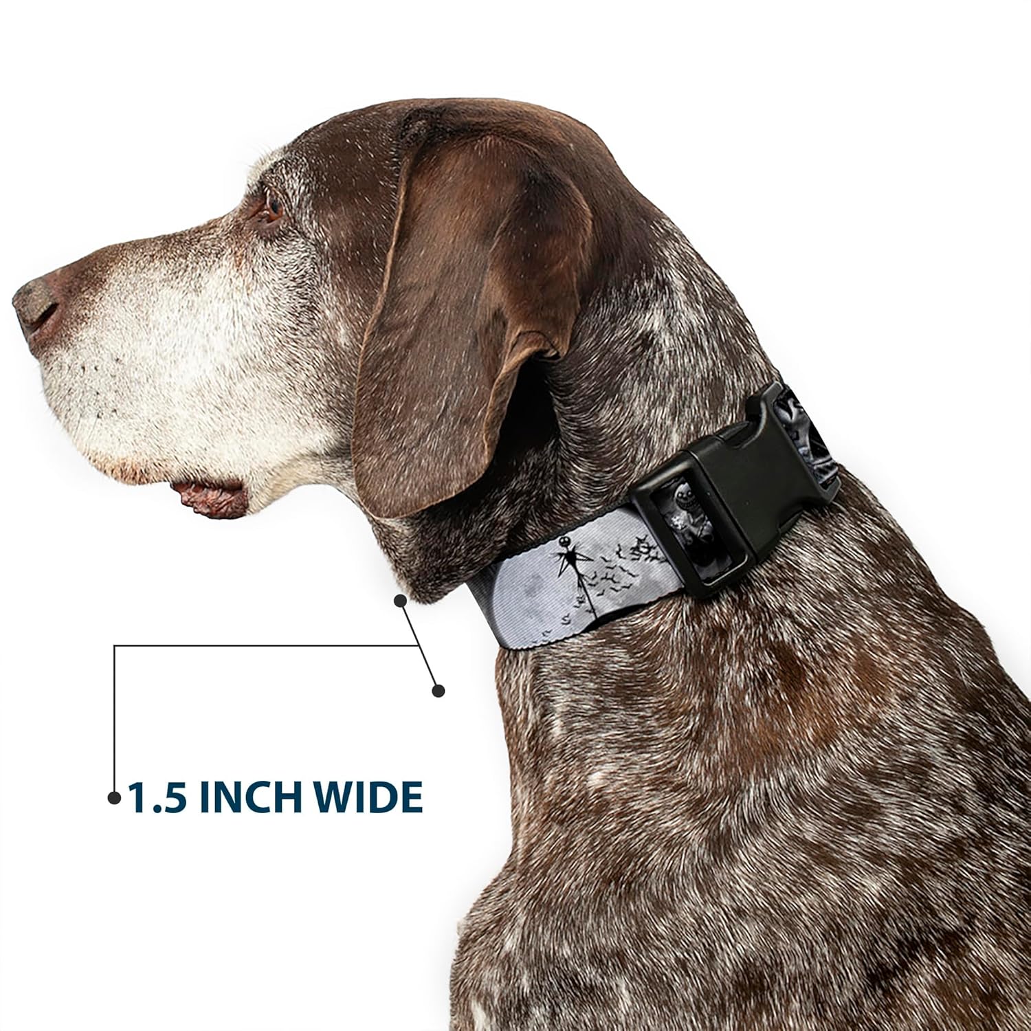 Buckle-Down Plastic Clip Collar - Jack & Oogie Boogie Scenes Grays - 1.5" Wide - Fits 16-23" Neck - Medium