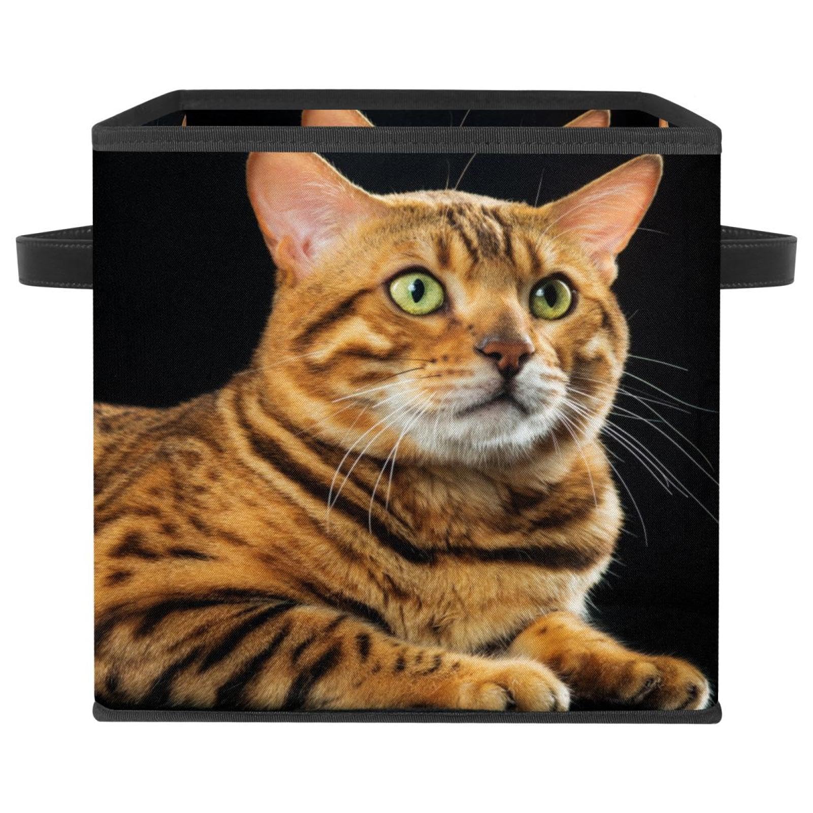 Boîte de rangement pliable en tissu motif chat du Bengale doré