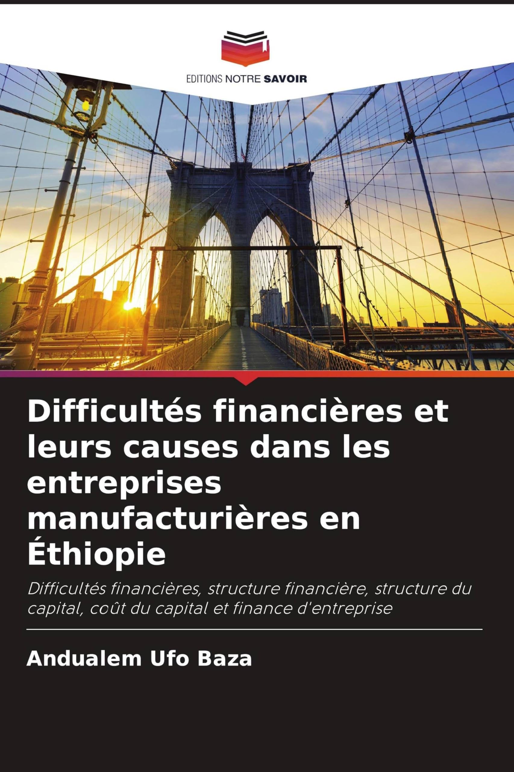 Difficultés financières et leurs causes dans les entreprises manufacturières en Éthiopie: Difficultés financières, structure financière, structure du capital, coût du capital et finance d'entreprise