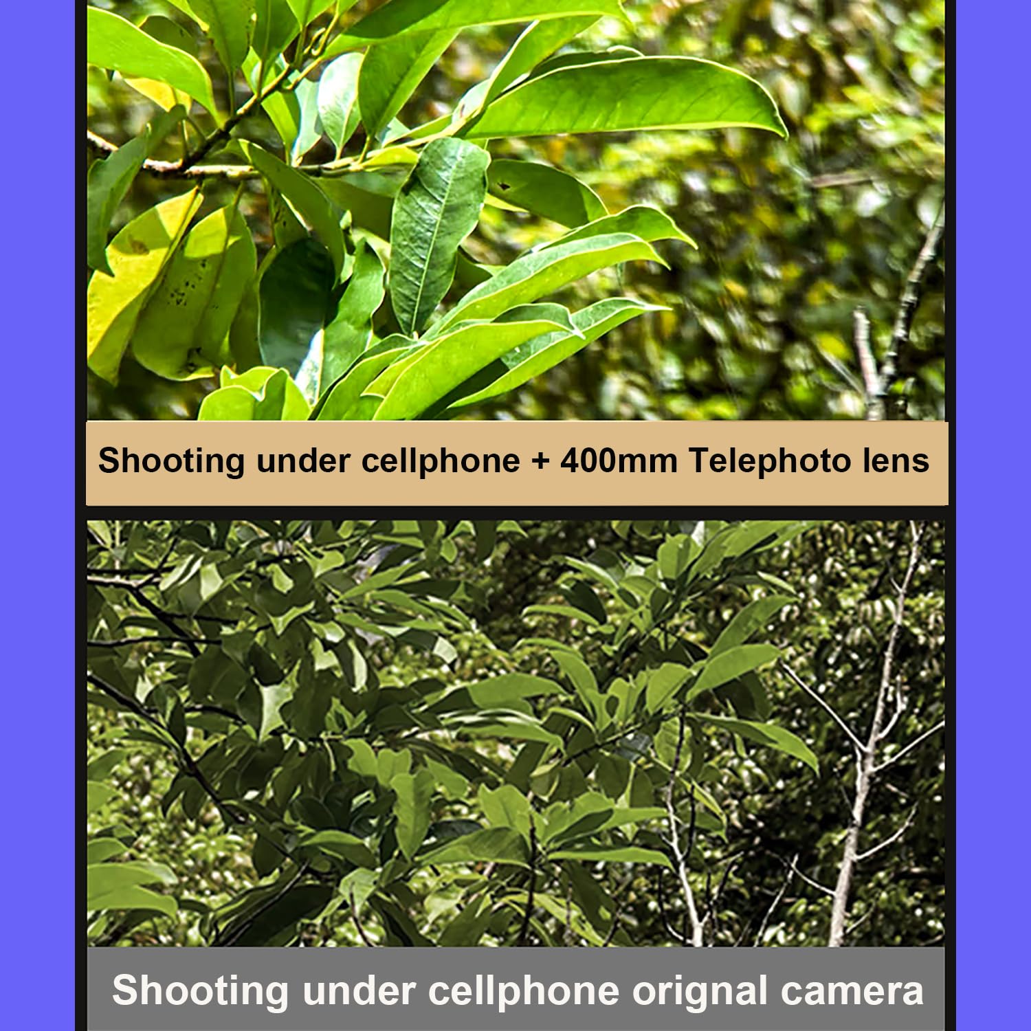 400-mm-Teleobjektiv für iPhone, Android-Handy-Kamera, HD-Handy-Teleskopobjektiv mit Universalclip, für Multi-Szenen-Fotografie wie Wildtiere, Sport, Konzerte, Blumen usw.