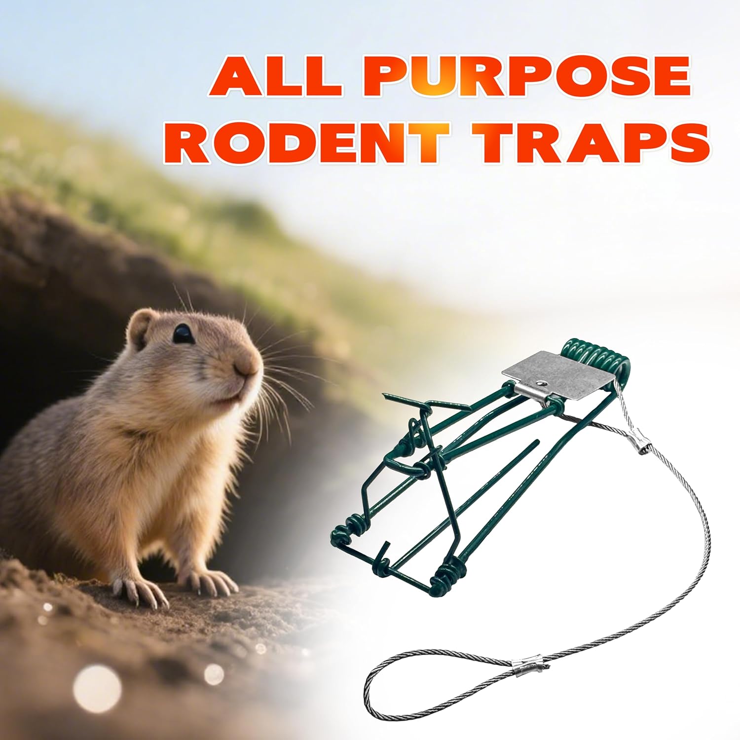 Gopher Trap with Chain 4/8 Pcs Outdoor Gopher Mole Vole Traps Killer for Lawns Easy Set (8)