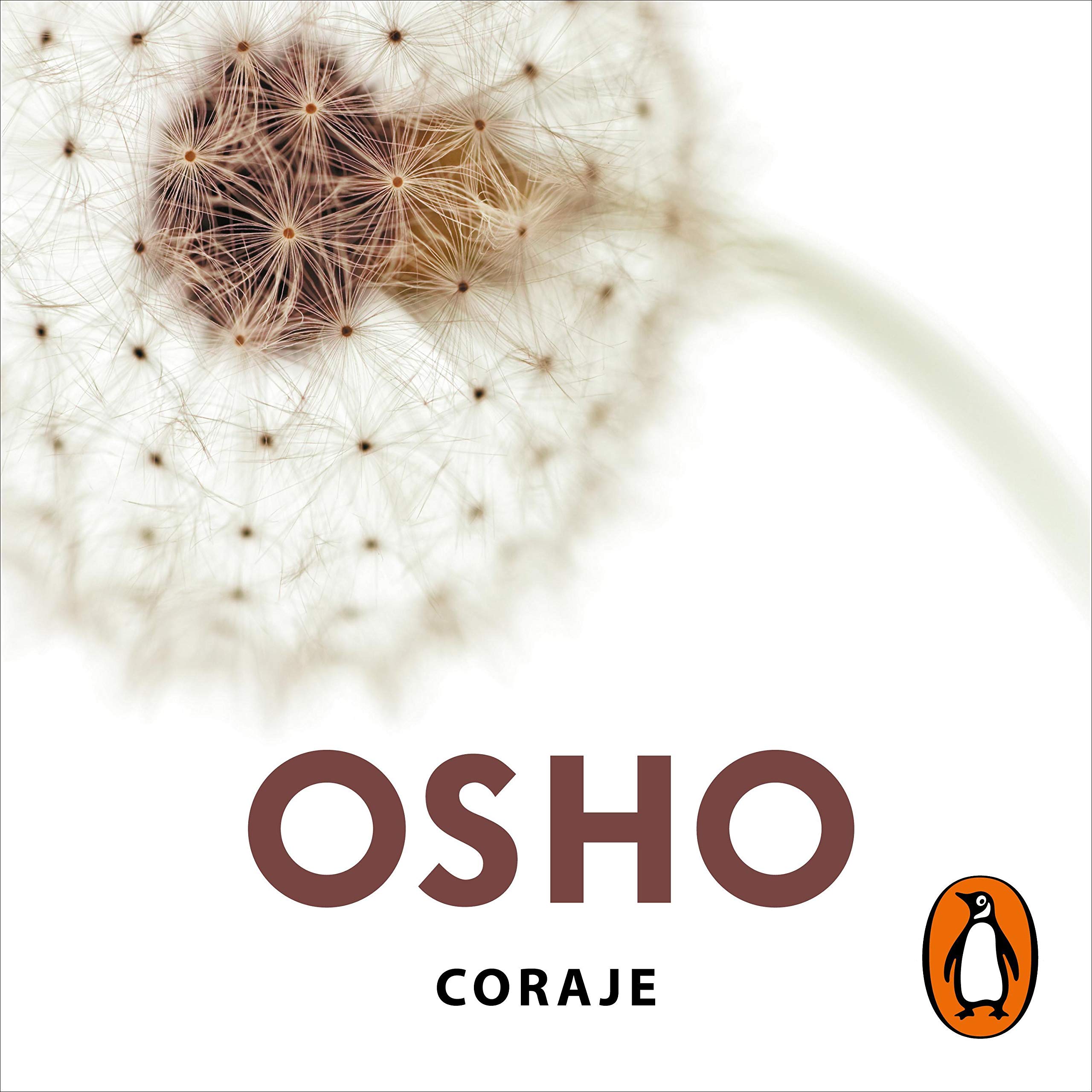 Cover art for Coraje [Courage]