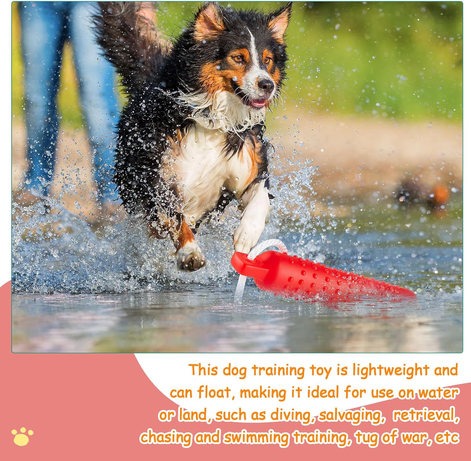 6 Pcs Dog Bumper Toy for Water Retrieving Plastic Puppy Training Dummy Dog Float Toy Lightweight for Float on The Water Pool Outdoor Training Hunting Fetching (Red,Orange)