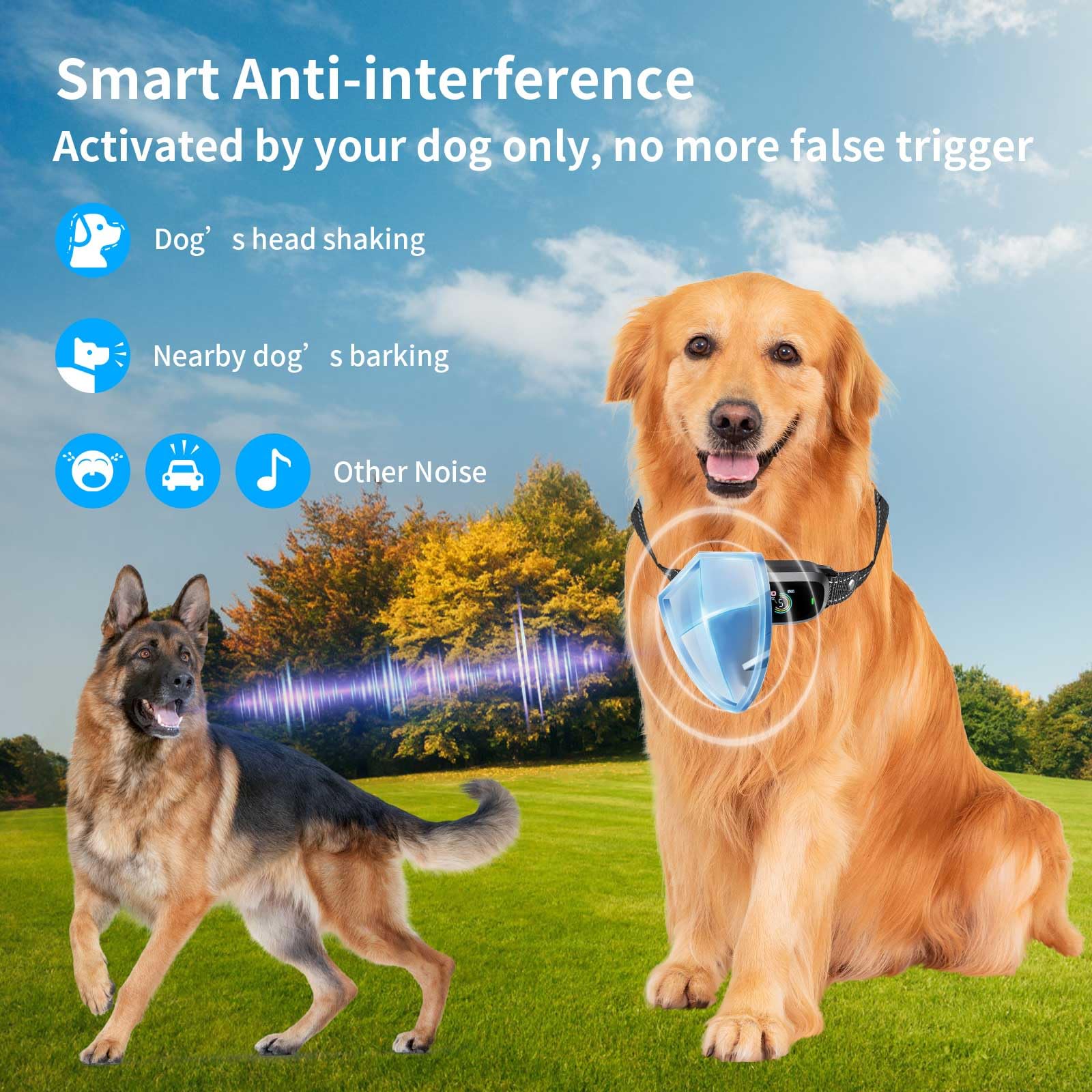 Collar Antiladridos para Perro, Inteligentes Collar Automático Antiladridos con 4 Modos de Inofensivas/Fortalecimiento Vibraciones/Sonido, 5 Niveles de Sensibilidad Ajustables, Impermeable IP67