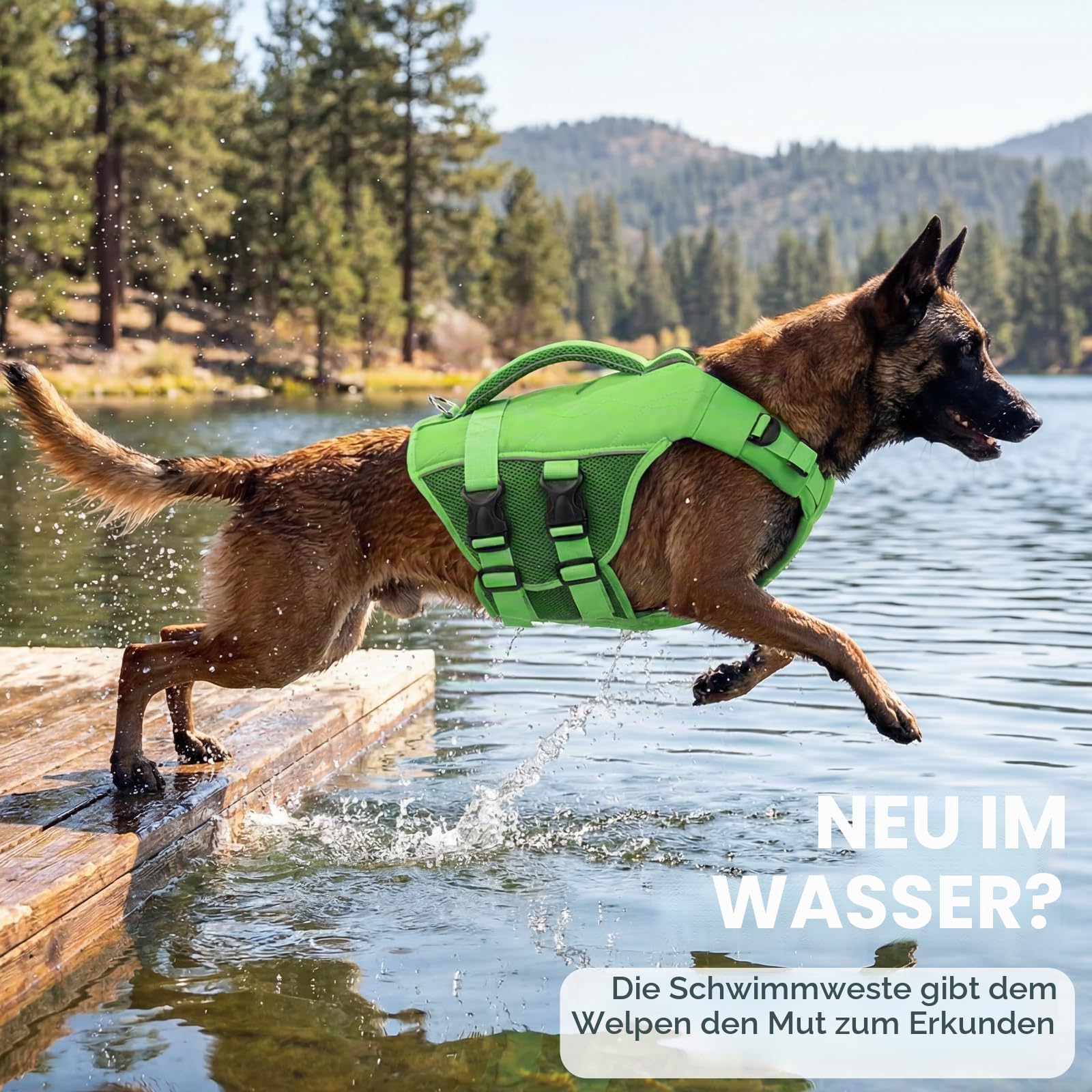 ASENKU Schwimmweste Hund Groß XL,Verstellbar & Ripstop Hundeschwimmweste,Rettungsweste für Hunde mit Griff und Reflektierend, Hunde Schwimmweste für Chihuahua,Dackel,Französische Bulldogge, Labrador