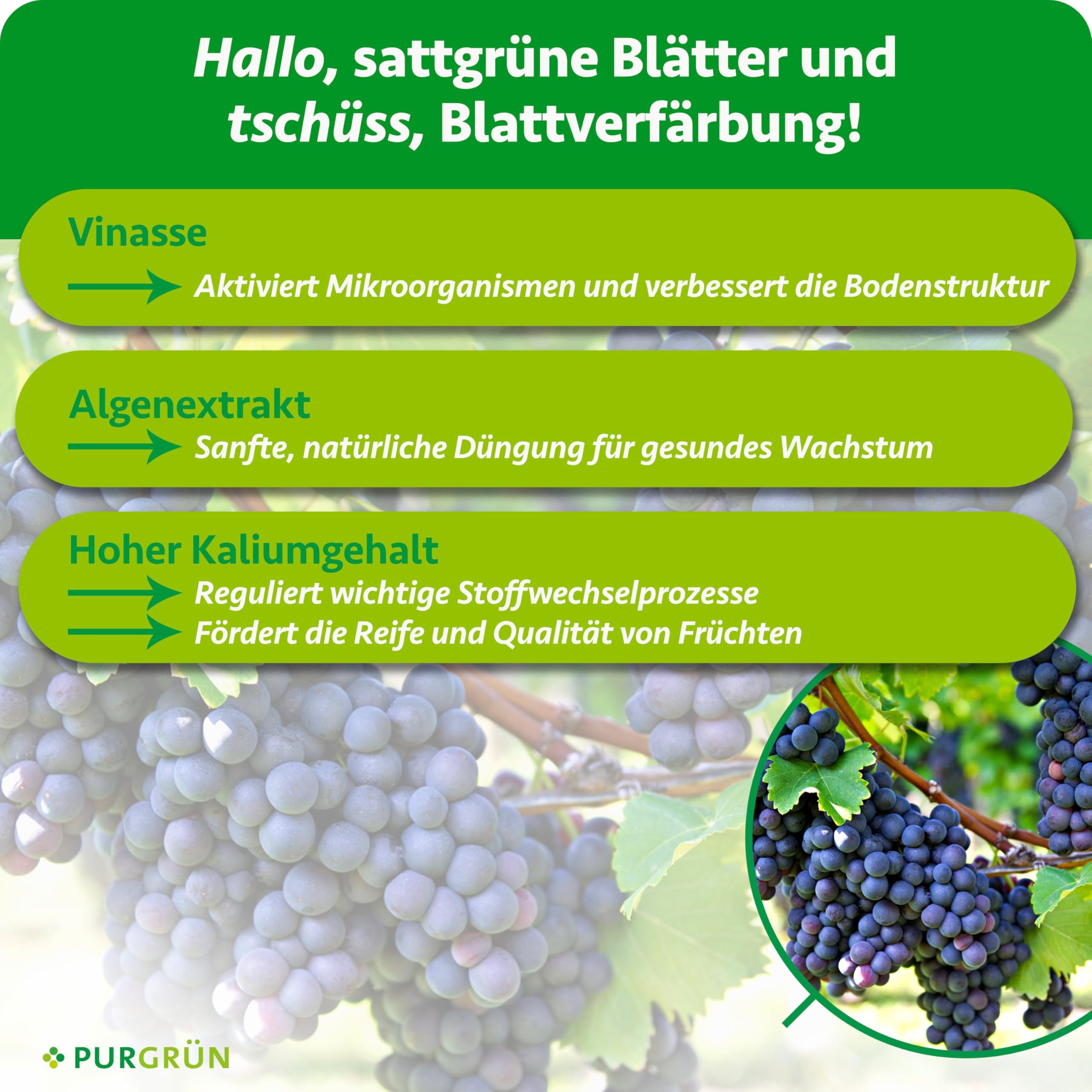 Bio-Weintrauben-Dünger 1 Liter – Organische Rezeptur – Premium-Flüssigdünger – NPK 4+1+7 – Mit Algenextrakt & Vinasse – Extra Kalium für aromatische Trauben – Ohne tierische Inhaltsstoffe