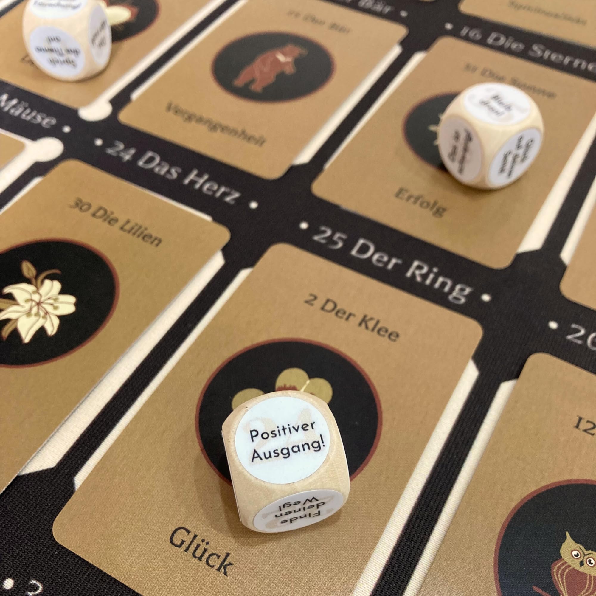 Lenormand Würfel Botschaft Orakel Orakelwürfel mit Hinweisen zu den Lenormand Ratschlägen