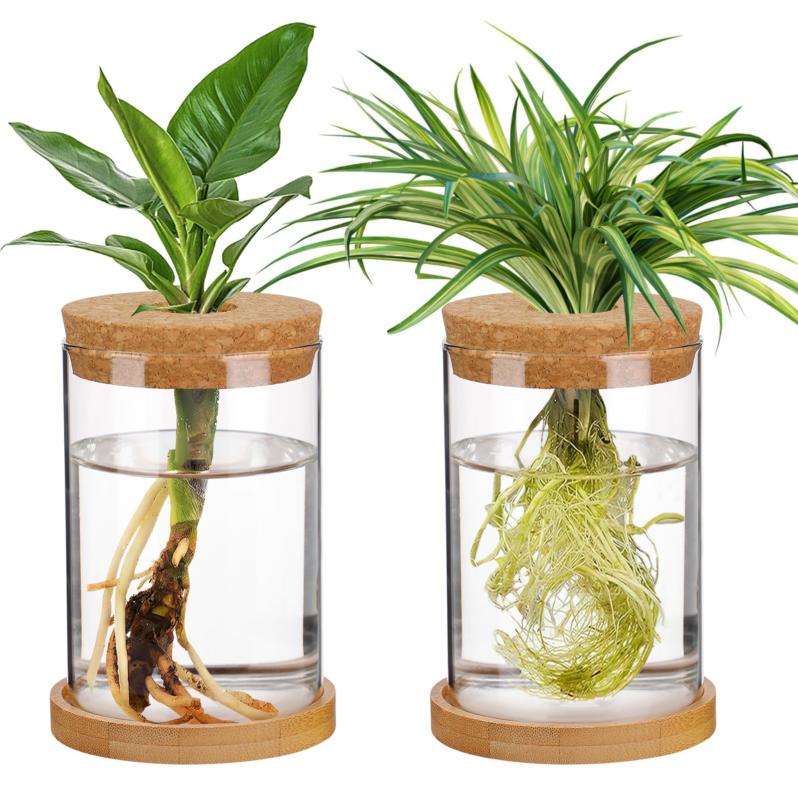 Biggun 2-Piece Propagation Station