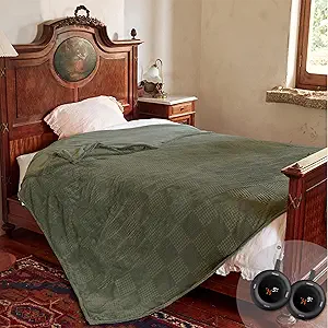 Electric Blanket Queen Size 84''X90'' - Heated Blanket with Dual Control Fast Heating 10 Heating Levels & 10 Hours Auto Off,ETL Certified Machine Washable (Gray Green)