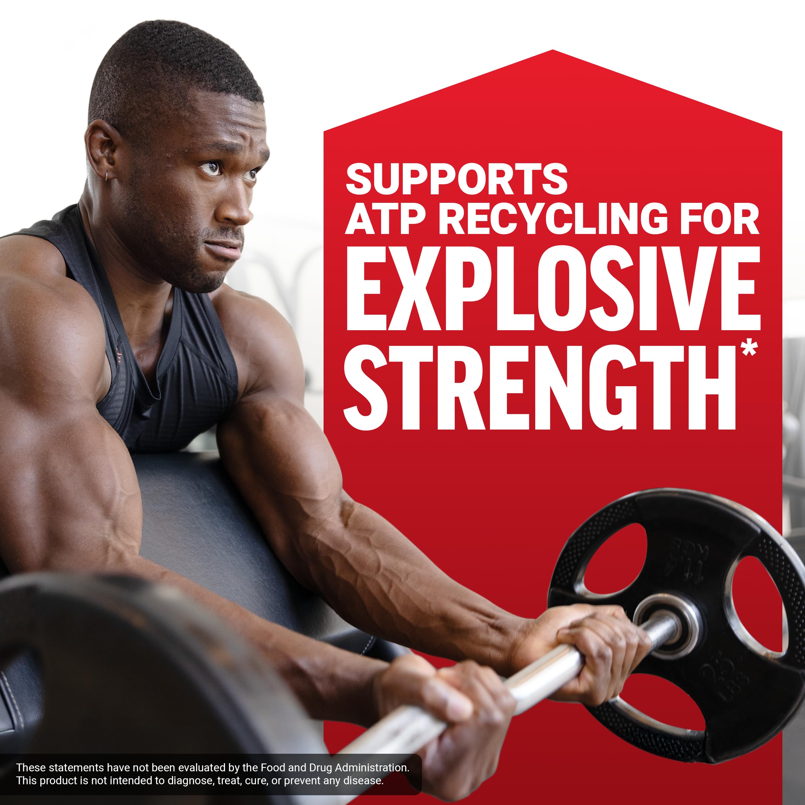 Force Factor Creatine Monohydrate Powder, 5g Micronized Dose to Support Muscle Growth, Strength, Recovery, Cognitive Health & Memory, Unflavored, 100 Servings