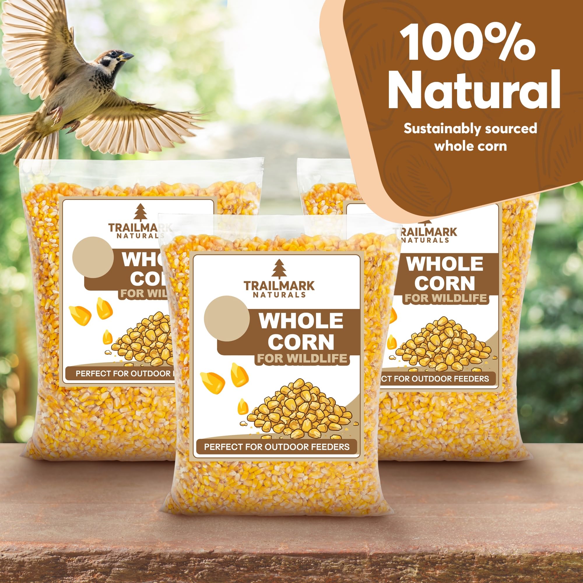 Maíz entero 10 LB - Alimento de semillas de aves y vida silvestre de primera calidad para patos, ciervos, ardillas, pollos y pavos - Maíz entero para aves silvestres - Cultivado