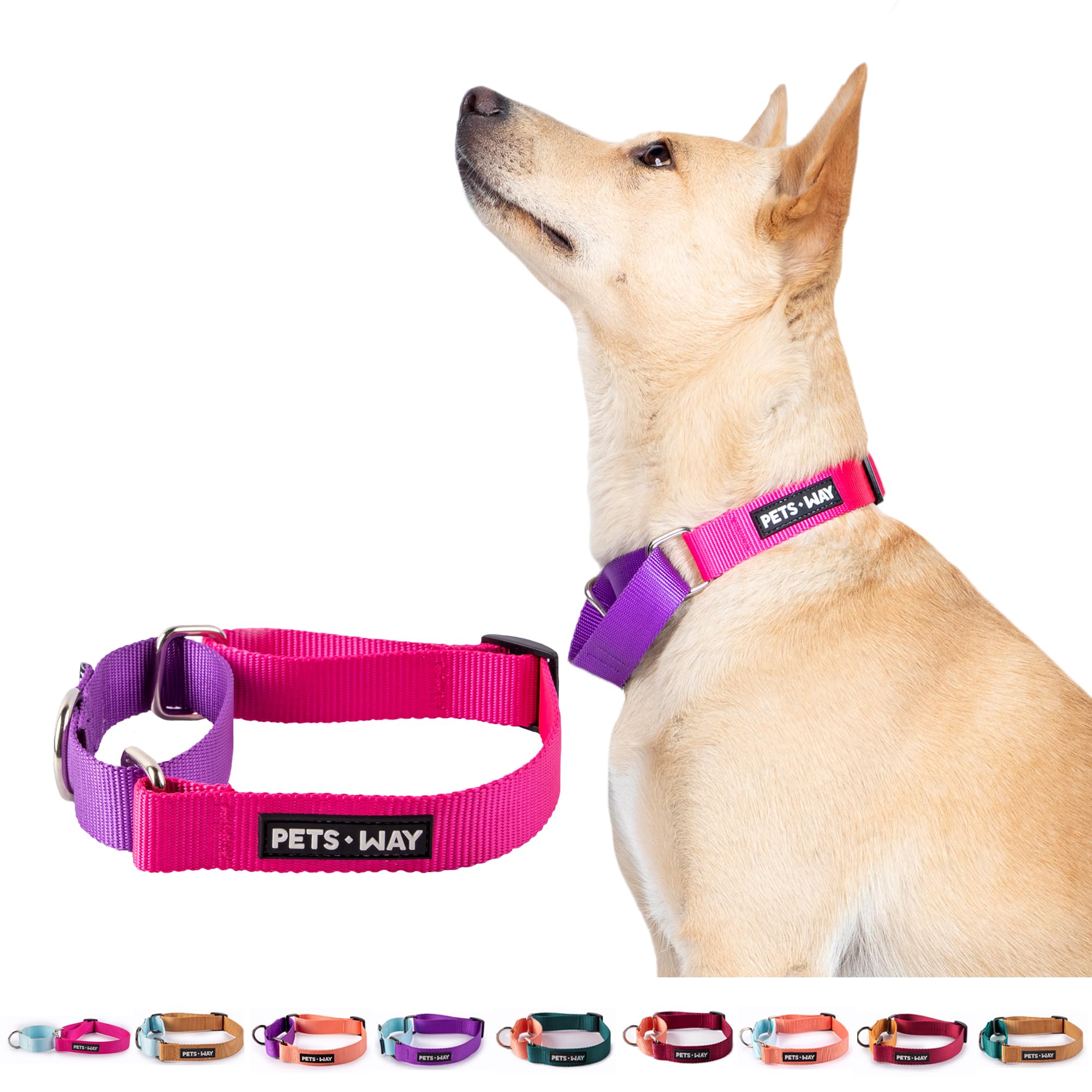 Pets Way Martingale Dog Collar Skin-Friendly, Lightweight & Durable Fabric Soft Comfy Adjustable with Dual Tone Color Combinations (Medium, Fushia and Amethyst) (B0CDGLS5G7) Amazon Price History, Amazon Price Tracker