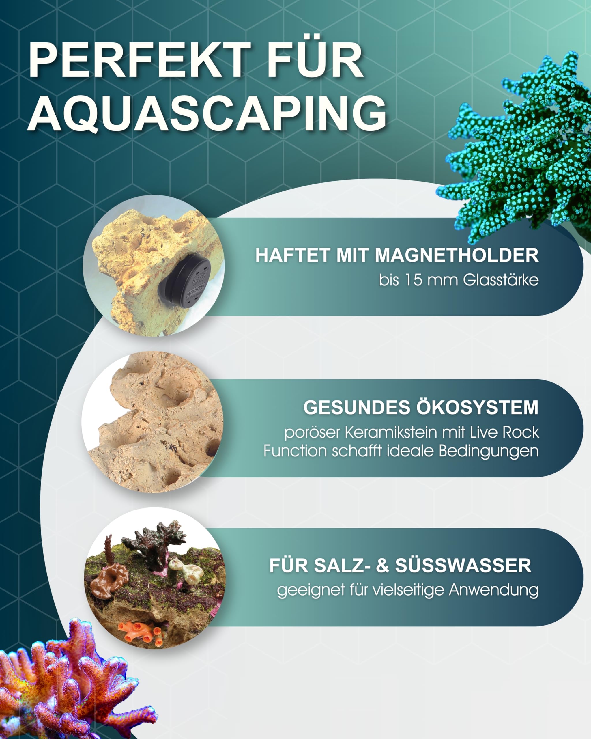 Tunze Coral Rack Nano I Keramikstein für die Platzierung von Korallen I Aquarium-Deko mit starker Magnethalterung I wachsender Stein für Korallenaufzucht in Süßwasser & Meerwasser