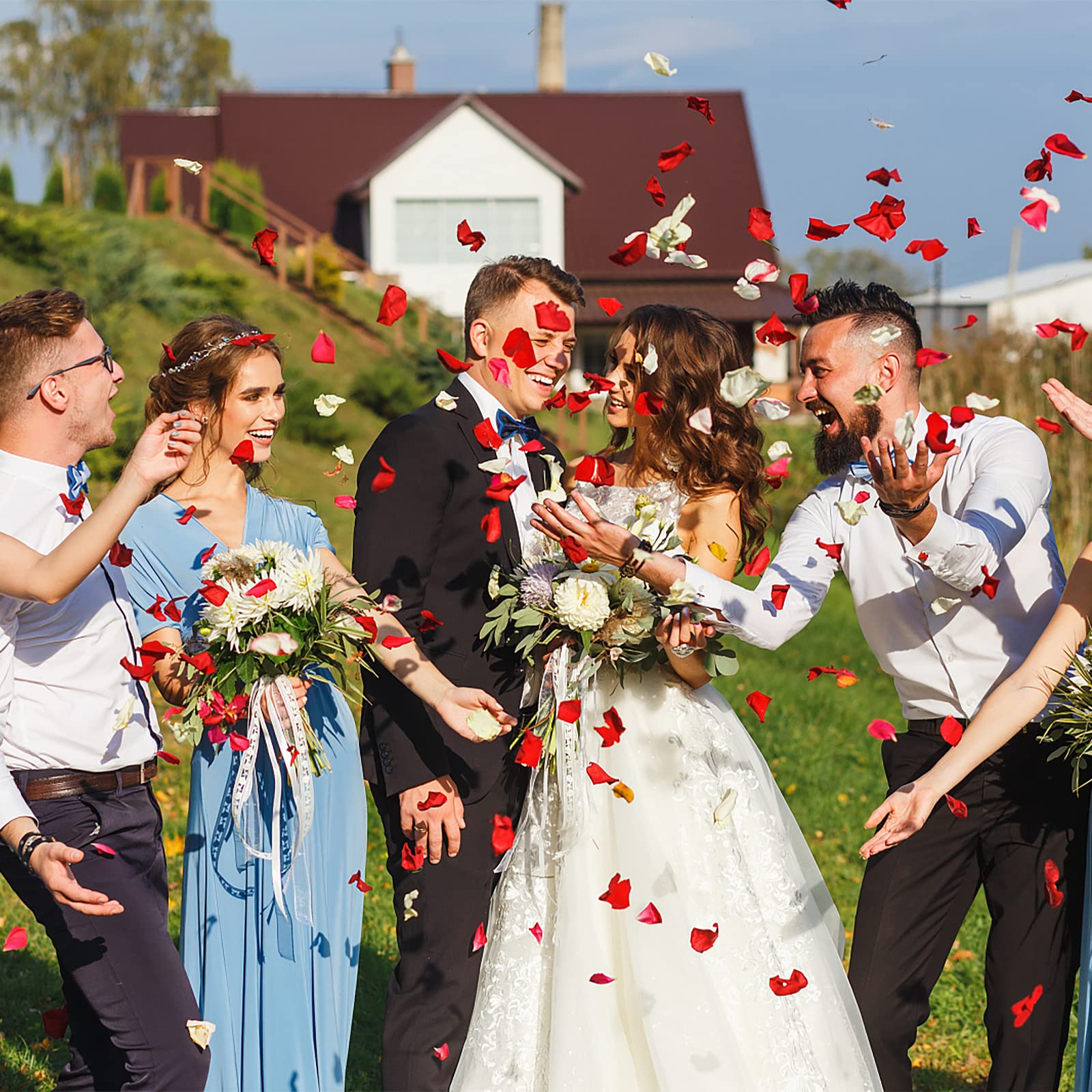 Petali Rosa Essiccati 100g: Naturali Per Bagno, Spa, Matrimonio E Decorazione Casa - Foto 9