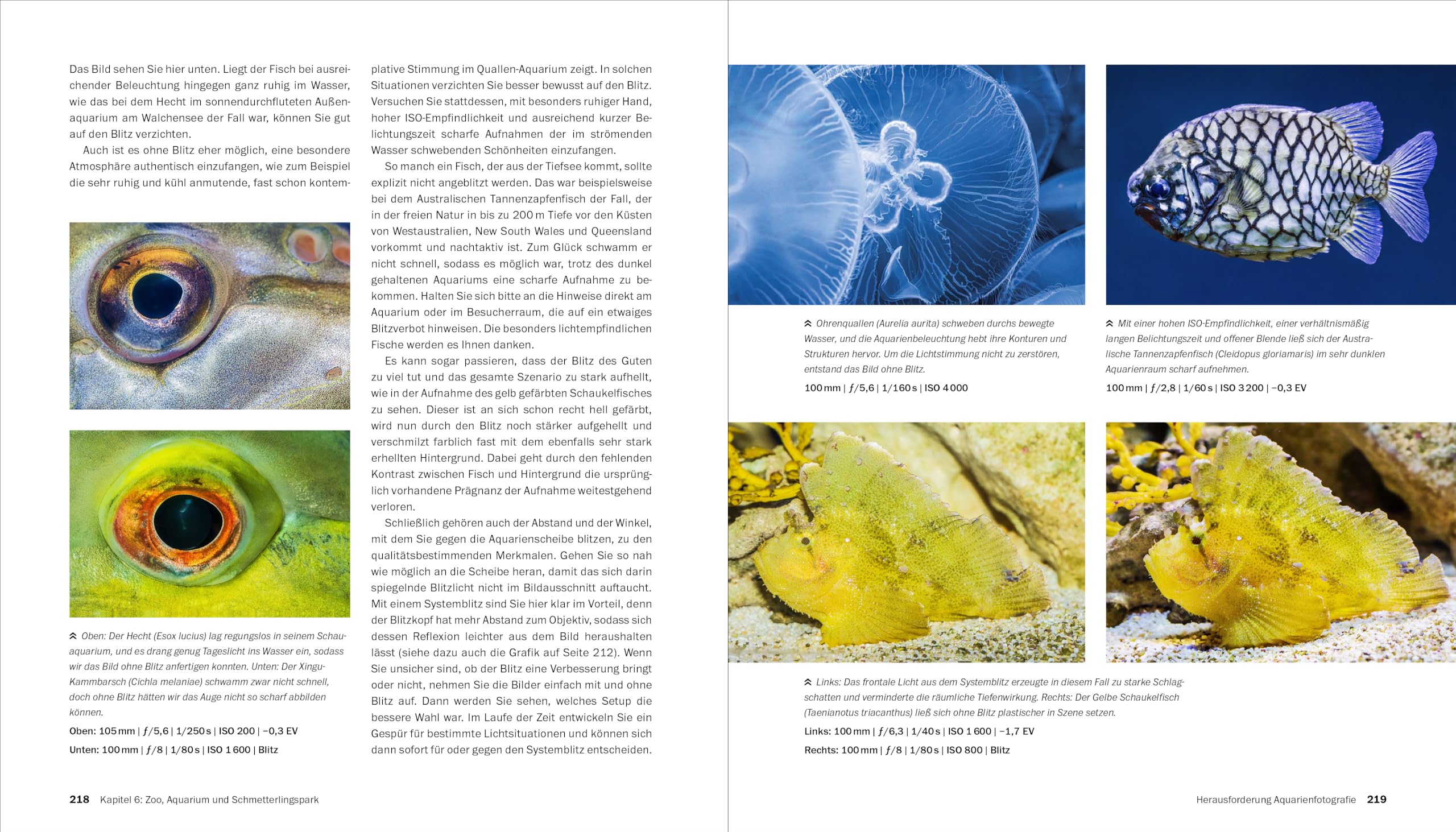 Makrofotografie: Die große Fotoschule. Pflanzen, Insekten und Objekte fotografieren. Ausrüstung, Technik, Bildgestaltung, Motivideen (Auflage 2024)