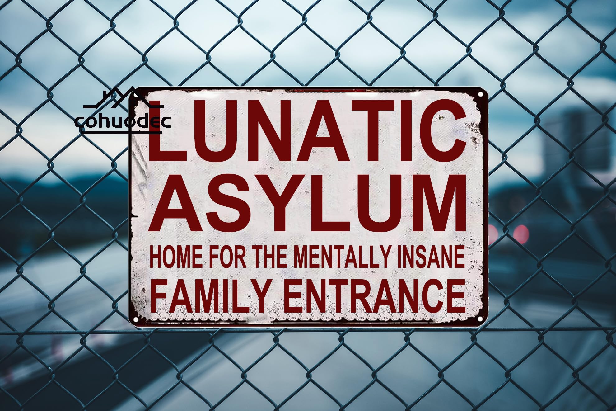 Targa In Metallo 'Lunatic Asylum Family Entrance' – Retrò Vintage 30,5x20,3 Cm Per Decorazione Casa, Giardino, Garage