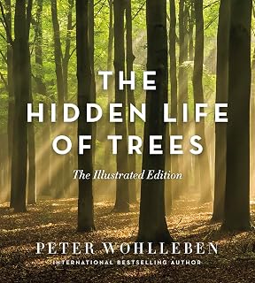 The Hidden Life of Trees: Illustrated Edition by Peter Wohlleben - Stunning Forest Wonders & Wood Wide Web Insights