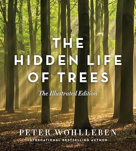 The Hidden Life of Trees: The Illustrated Edition (David Suzuki