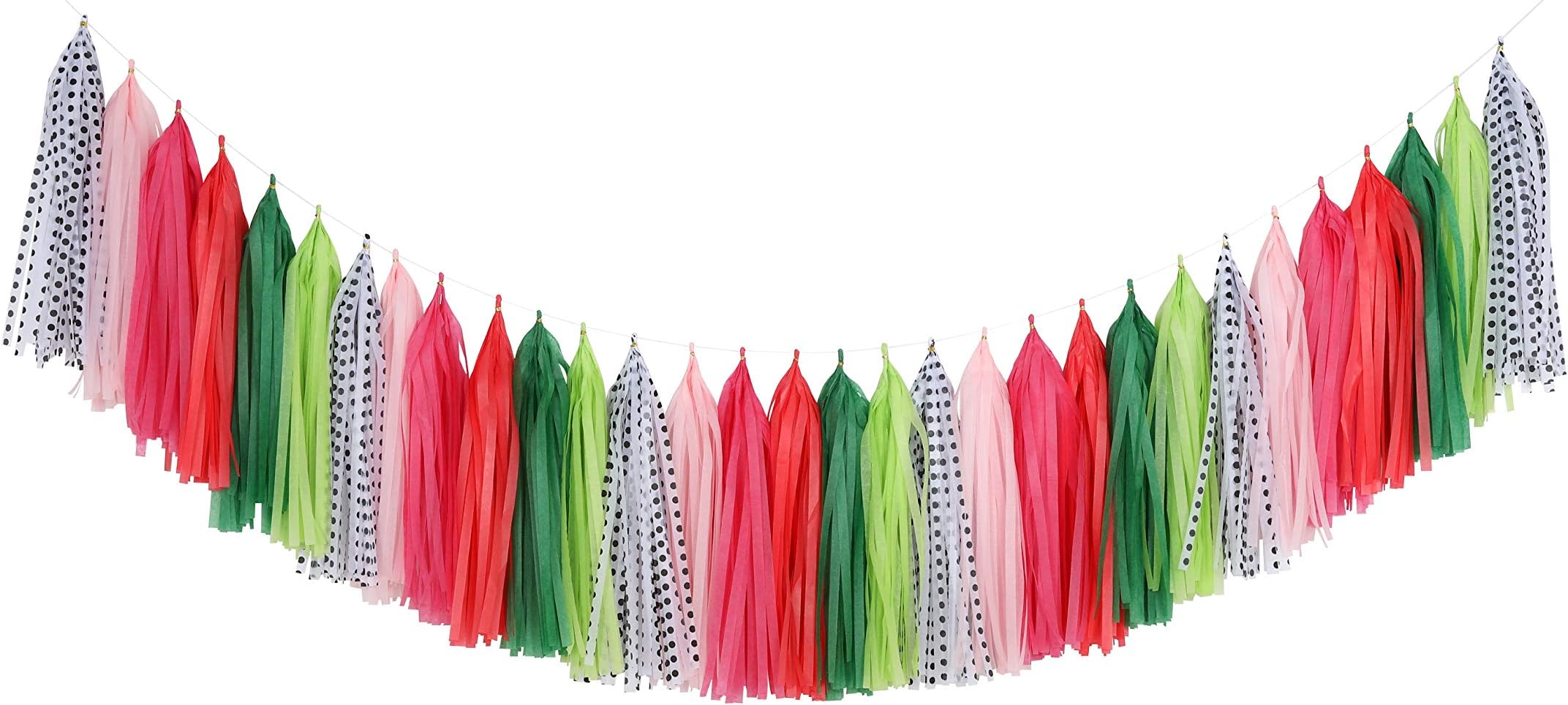 Fonder Mols Watermelon Party Tassel Garland DIY Kit Balloon Tail Tassels Melon Birthday Summer Party Decorations(Pack of 30, Coral Fuchsia Green Pink Polka) A24