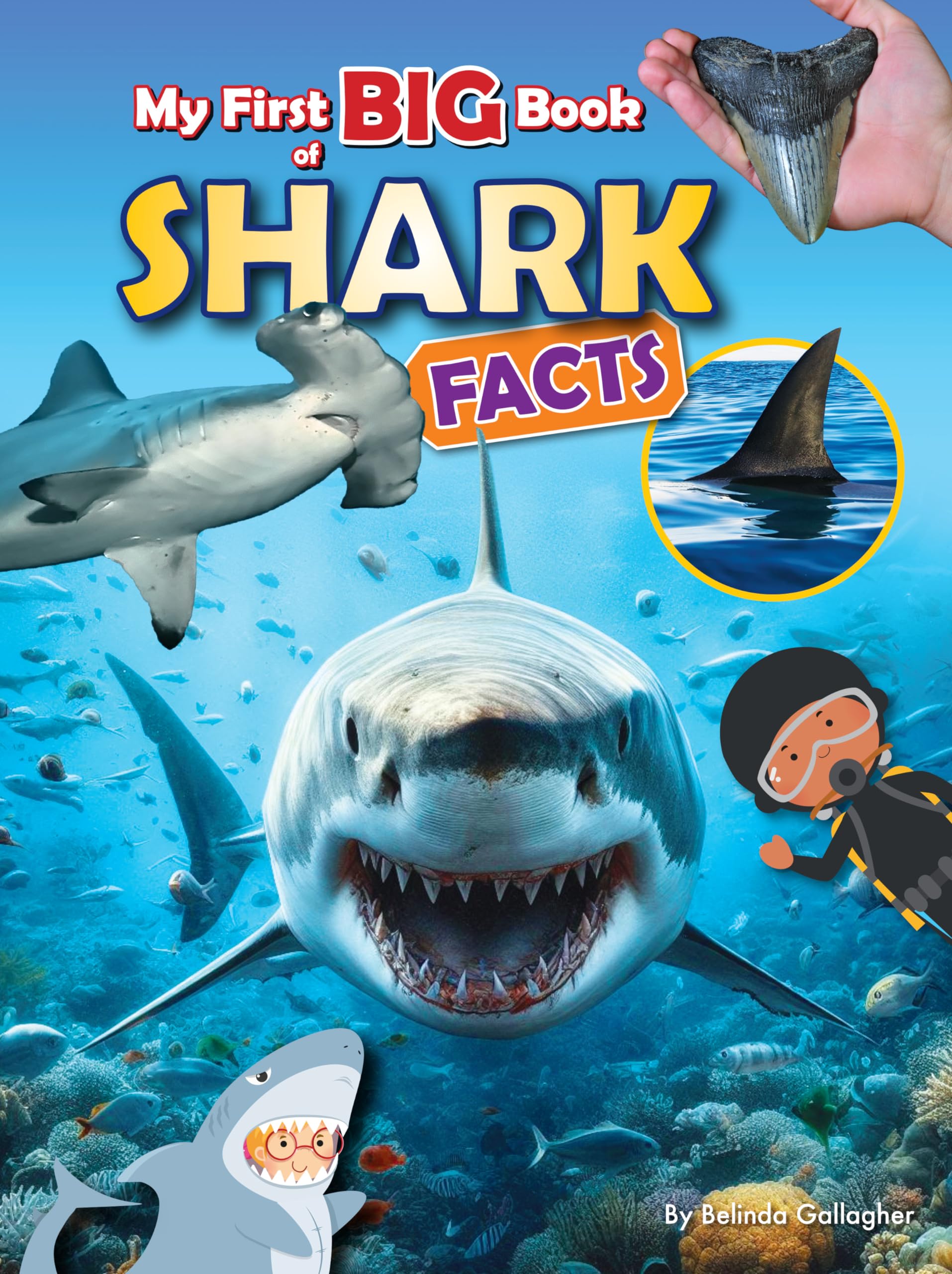 My First Big Book Of Shark Facts