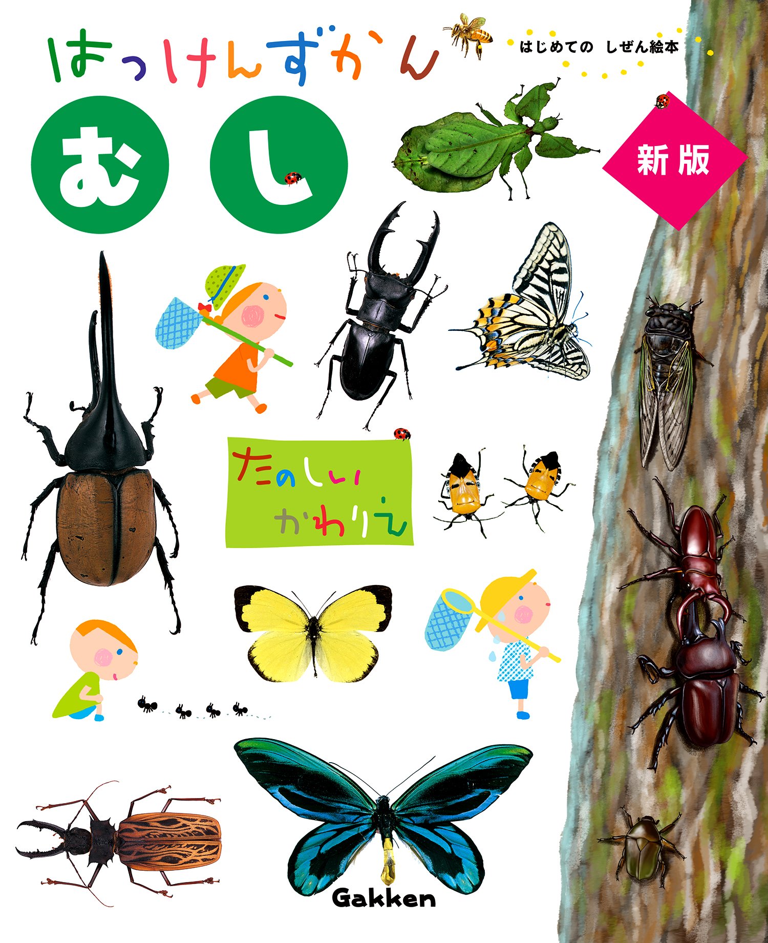 むし 新版 はっけんずかん 3 6歳児向け 図鑑 文彦 小堀 本 通販 Amazon むし 新版 はっけんずかん 3 6歳児向け 図鑑 文彦 小堀 本 通販 Amazon
