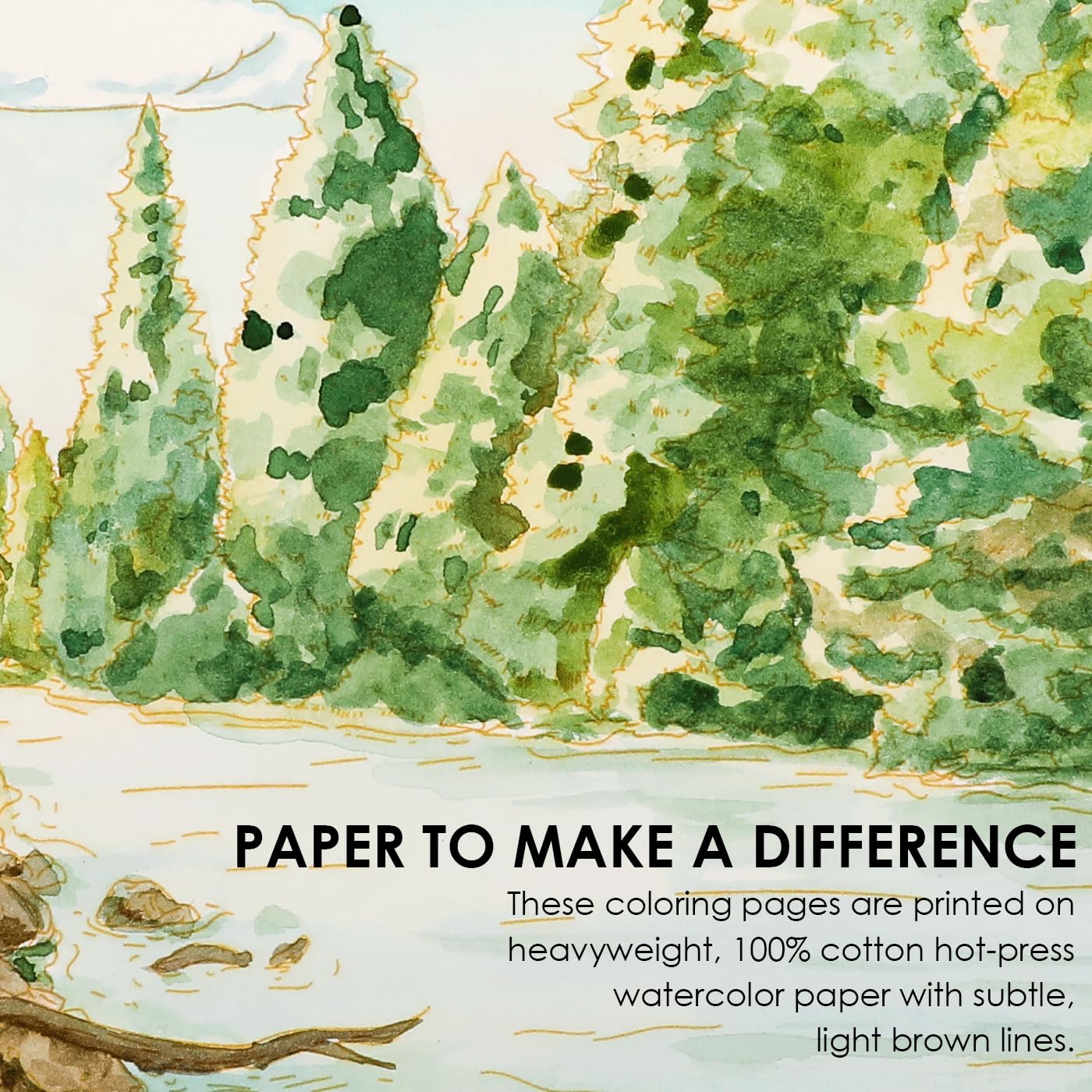 Grabie Watercolor Coloring Book - Forest Designs -6 Grabie Watercolor Coloring Book - Forest Designs -6