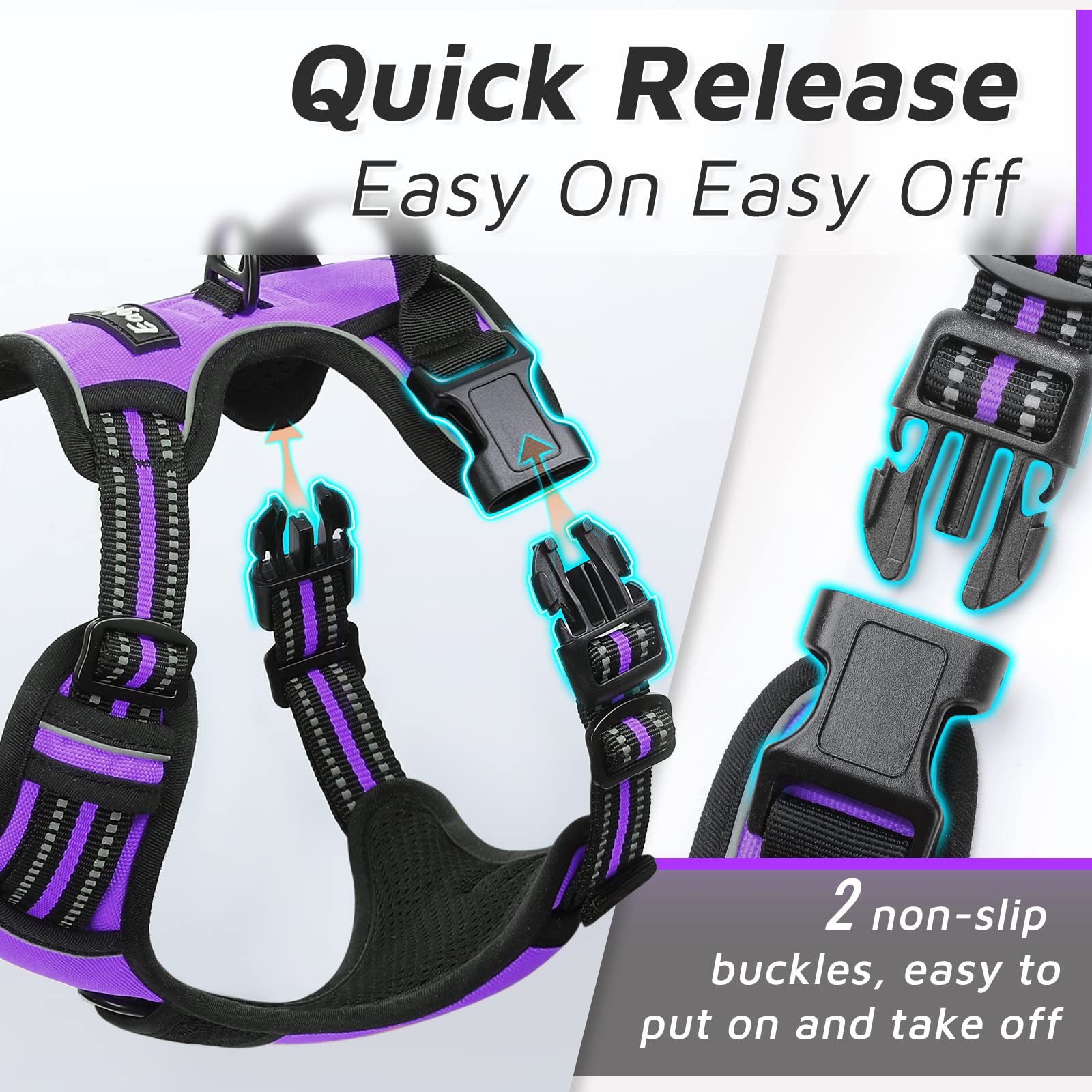 https://m.media-amazon.com/images/I/81+eO7zJqML.jpg