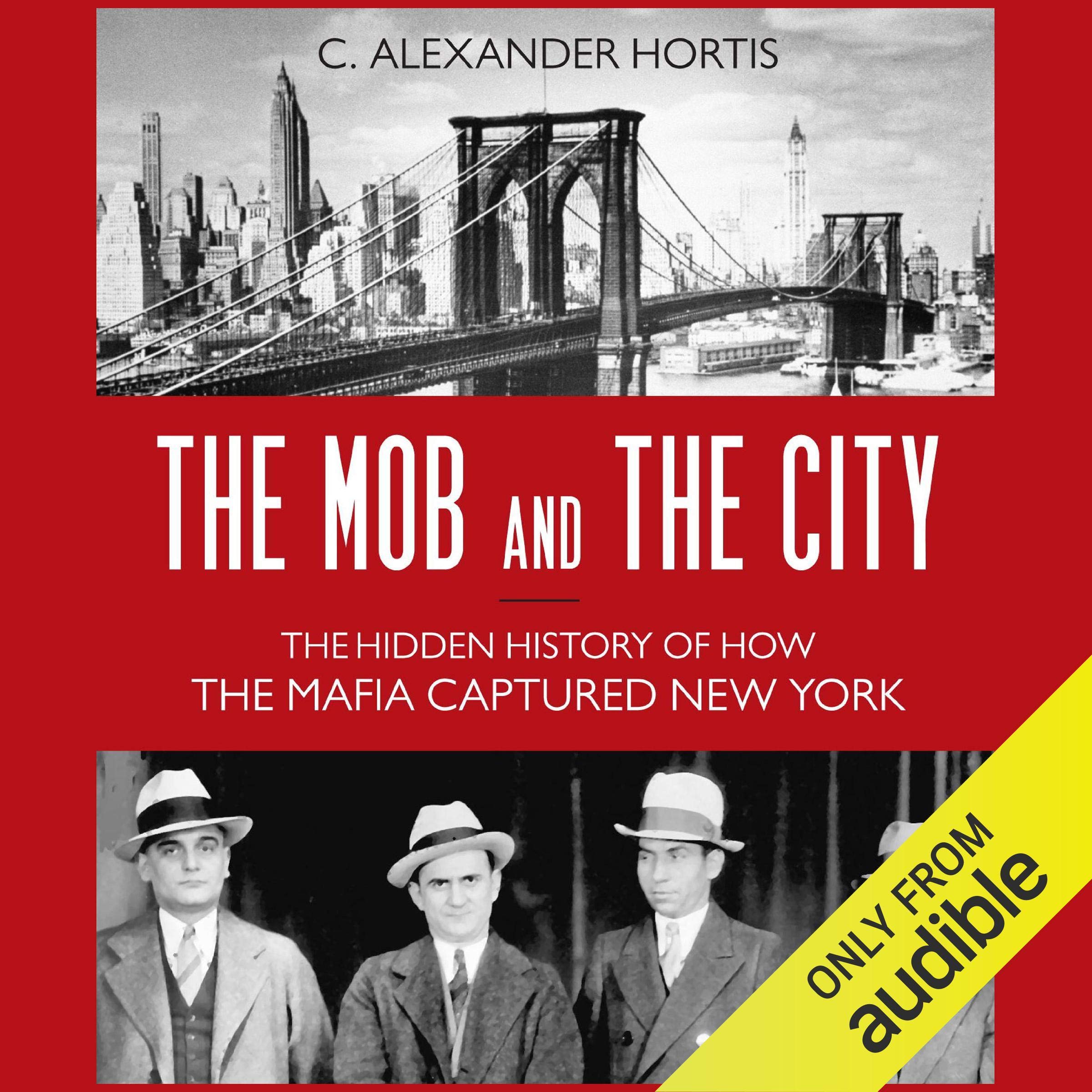 Cover art for The Mob and the City