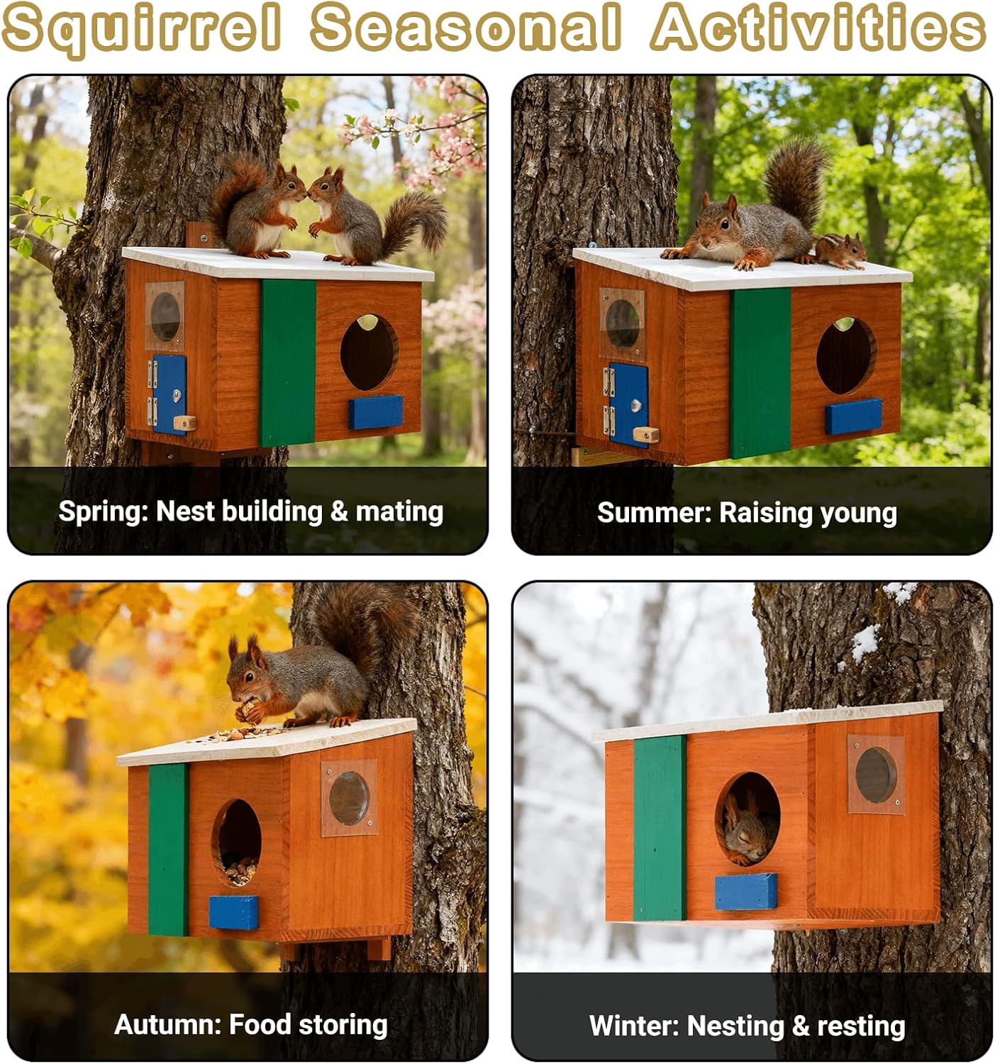 Squirrel House with with Camera Solar Powered- Squirrel Houses for Outside Nesting, Squirrel Nesting Box, Squirrel Boxes for Outside, for Garden for 2.4g WiFi Coverage Area