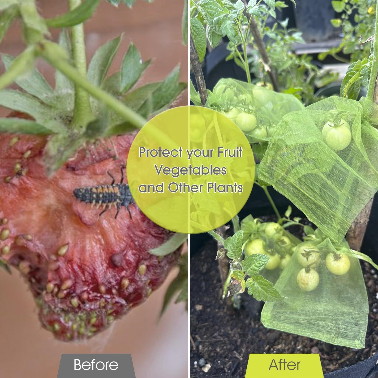 JJYHEHOT 100 Sac Protection Fruits, 10x15cm Sac De Protection Fruits, Sachet Organza Avec Cordon Pour Protéger Les Fraises, Myrtilles, Tomates Contre Les Oiseaux, Les Insectes Nuisibles