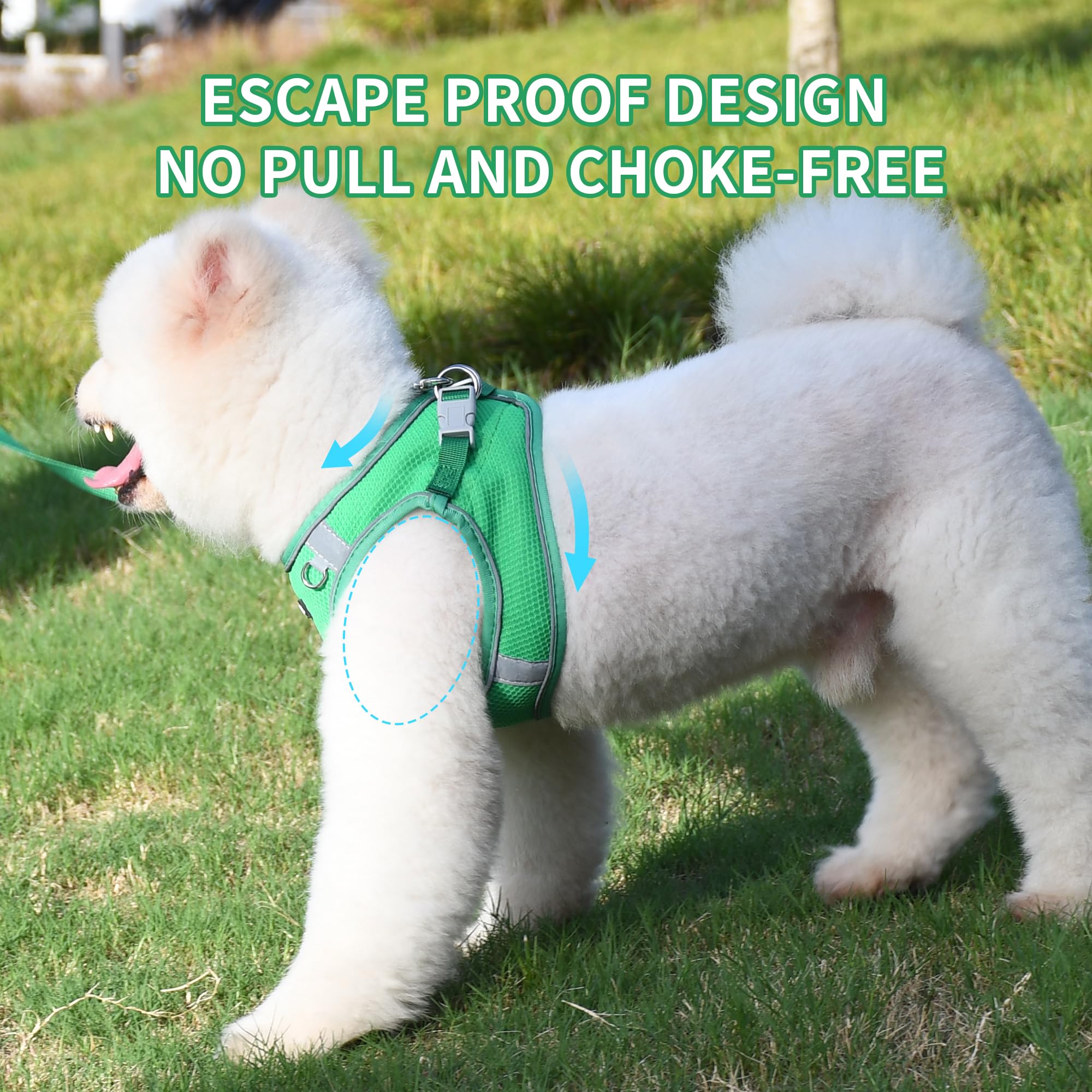 AIITLE Dog Harness for Medium Sized No-Pull Pet Vest with a Leash, Breathable Mesh, Reflective Stripes - Image 2