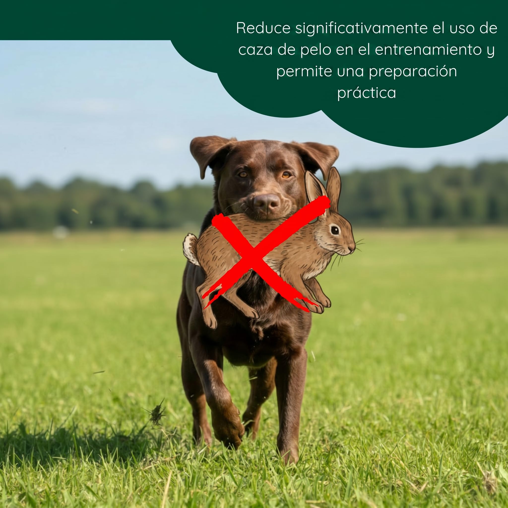 Romneys Dummy de conejo | Dummy estándar 500 g recubierto con piel de conejo real | Apportel Wild para el entrenamiento de perros de caza