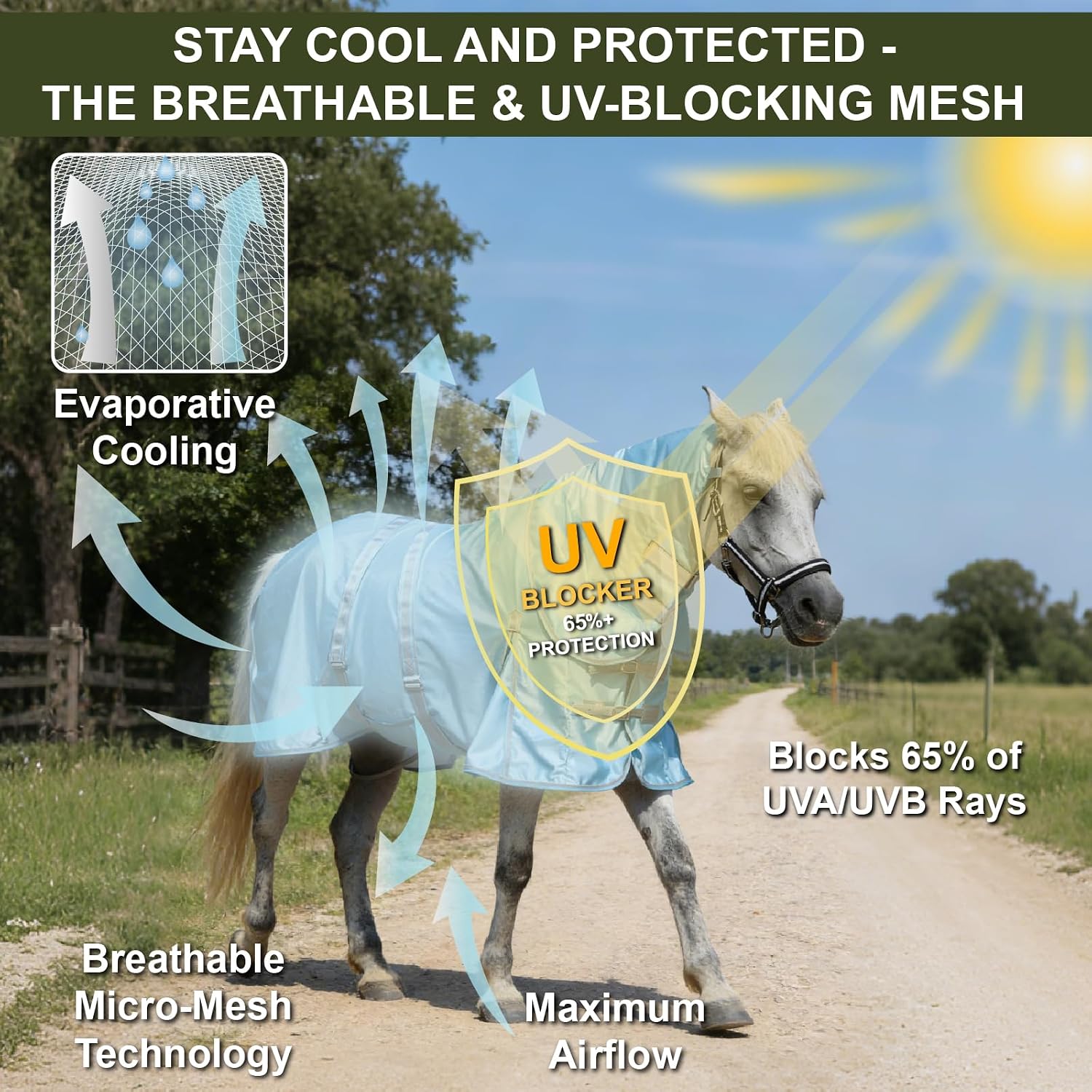 Summer Horse Fly Sheet with Detachable Neck & Belly Wrap, Breathable Fine Mesh Sweet Itch Protection for Stable & Pasture Turnout, Biting Defense & All-Day Comfort Shield Cyanblue 66"