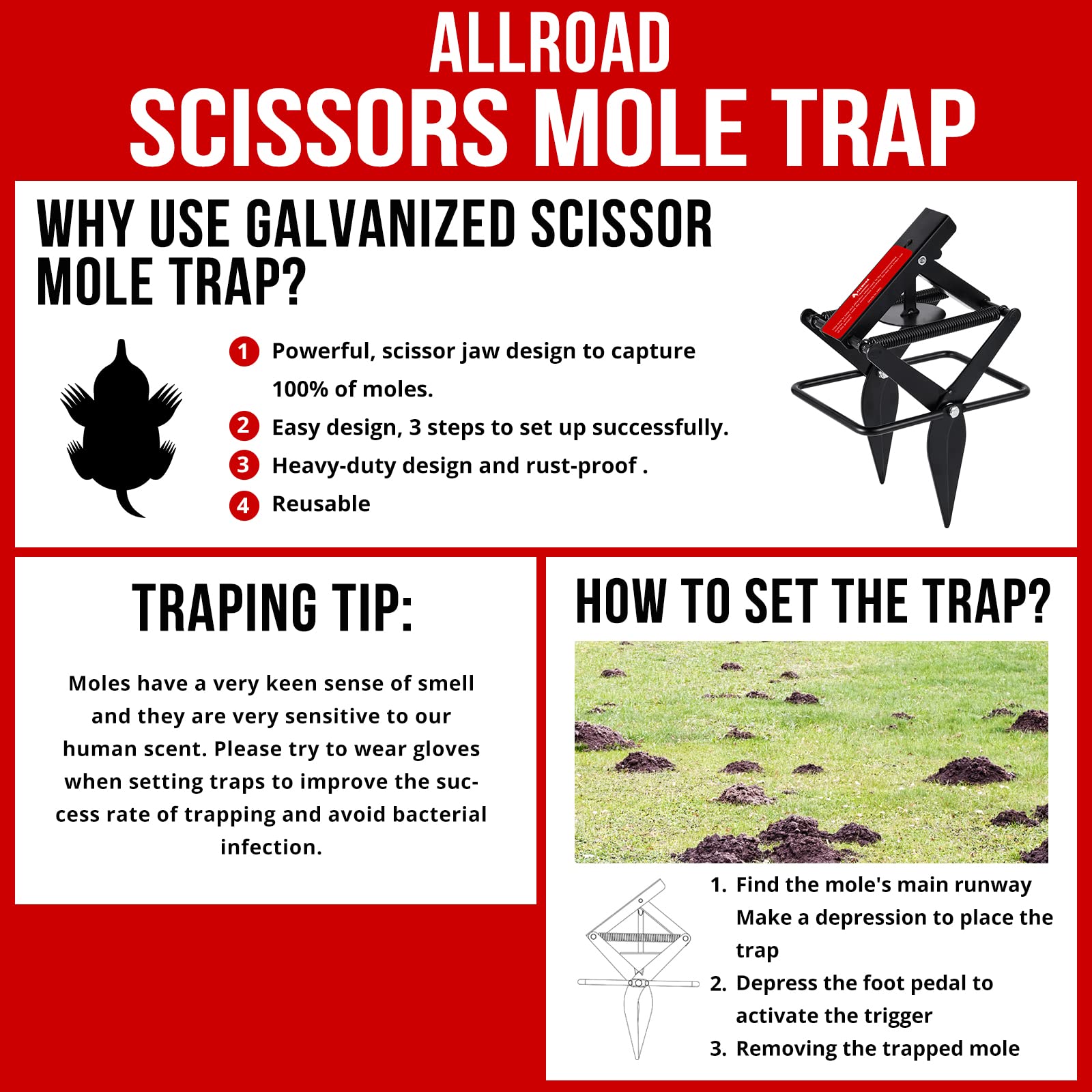 ALLRoad Mole Trap That Kill Best, Easy Setup Black Mole Trap for Lawns, Reusable and Non-Toxic Eliminator Scissor Trap - Galvanized Steel 4 Pack