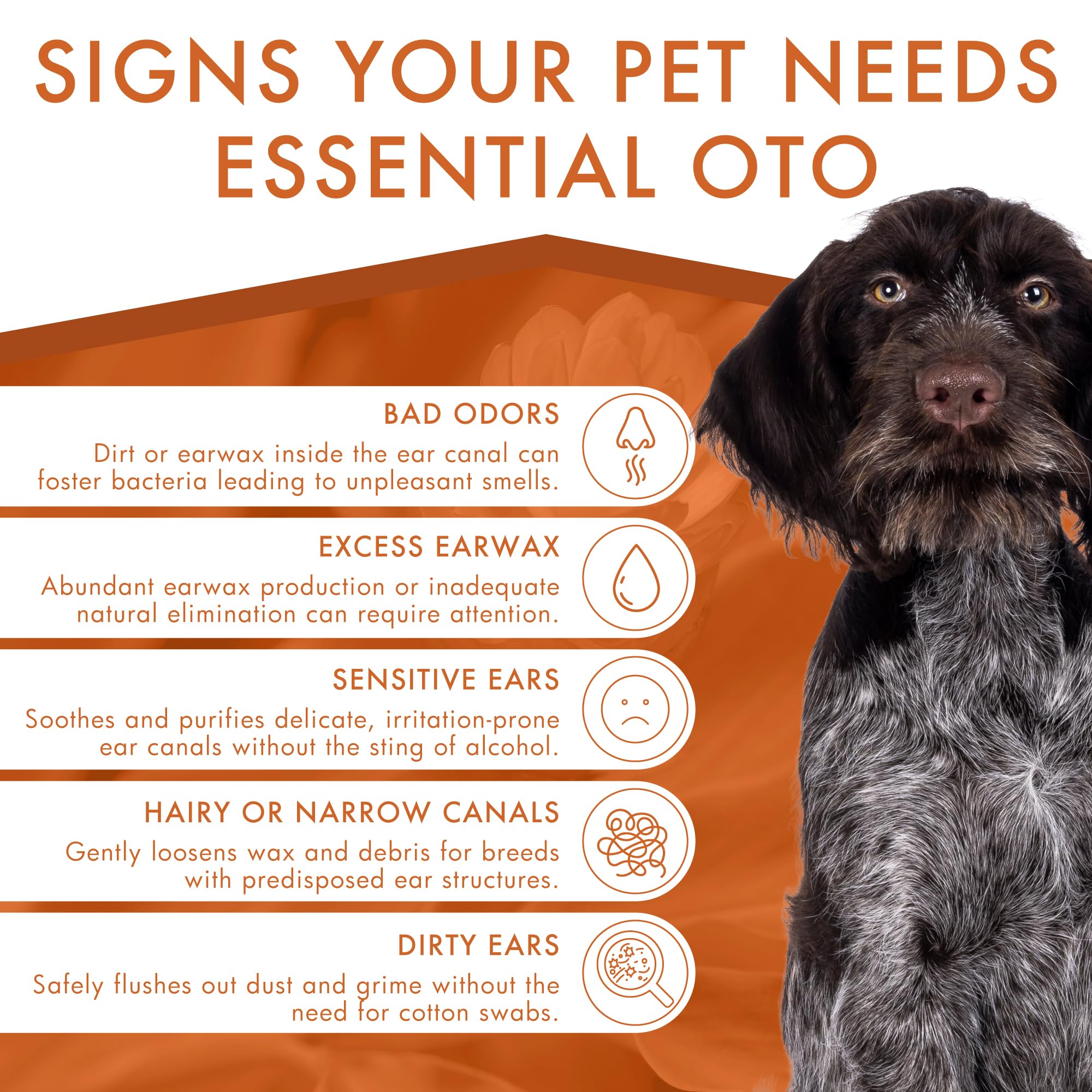 Dermoscent Essential OTO - Detergente auricolare per cani, gatti e conigli | Formula naturale senza alcool | Elimina cerumen e odori, idrata e lenitiva, 100 ml