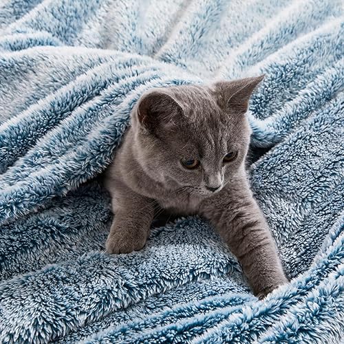 Miniatura 6 de Exclusivo Mezcla Manta de felpa de forro polar tamaño Queen, súper suave, esponjosa y gruesa para cama de viaje y sofá (mezcla verde azulado, 90 x